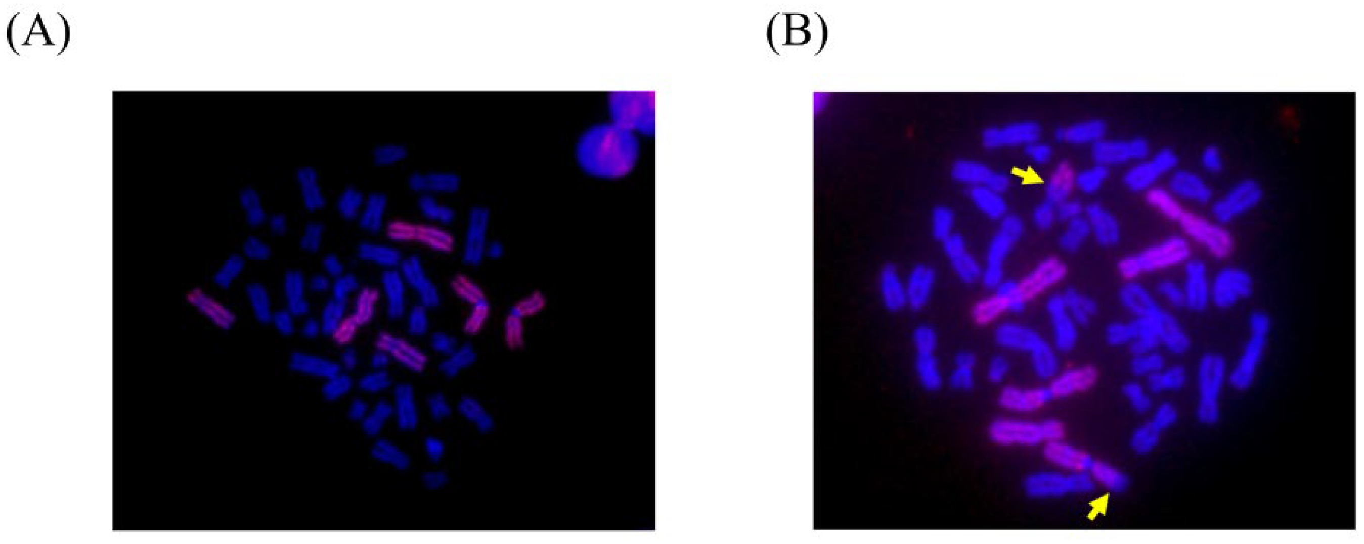 Ijerph 19 08737 g001