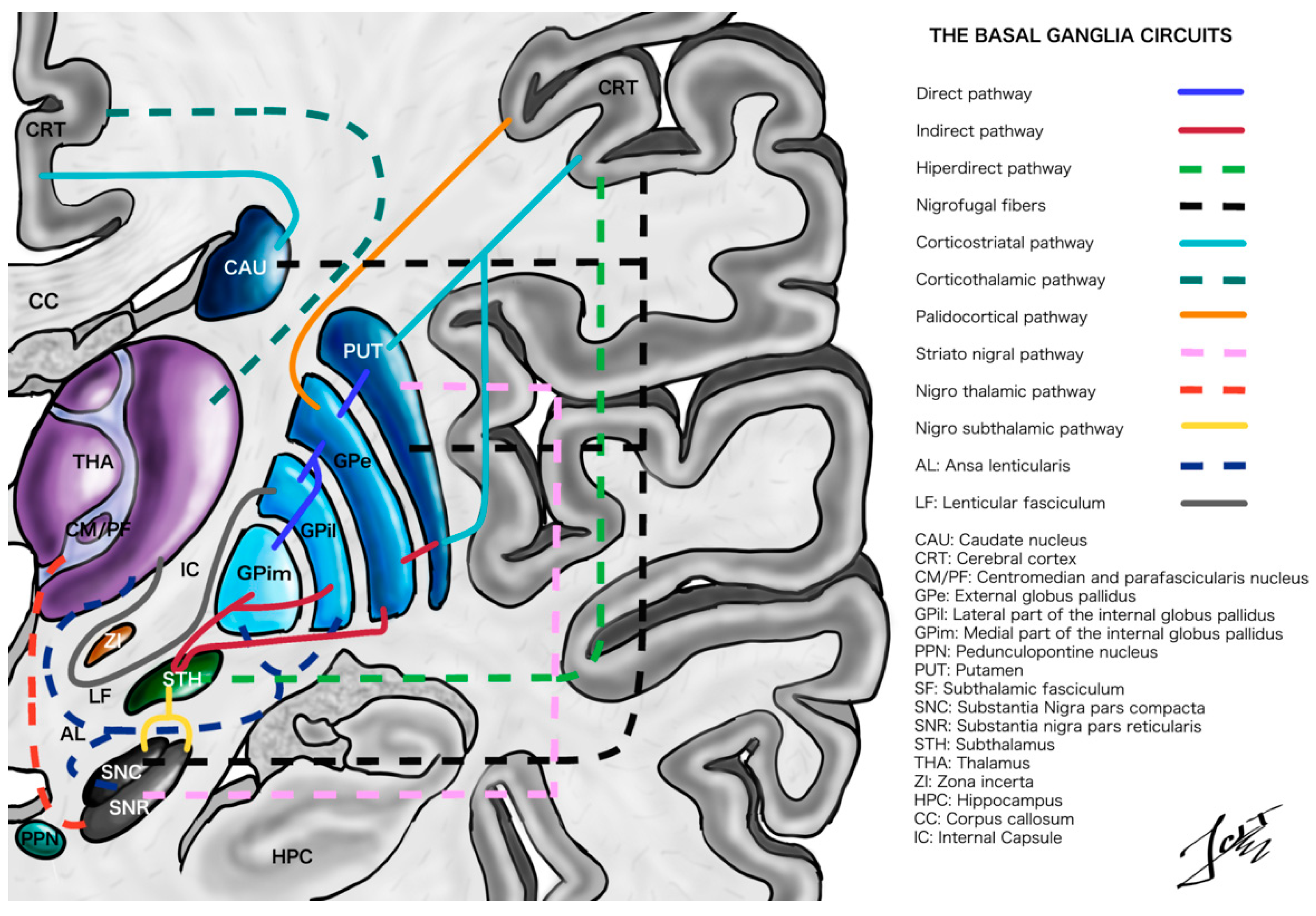 Ijerph 19 08799 g001