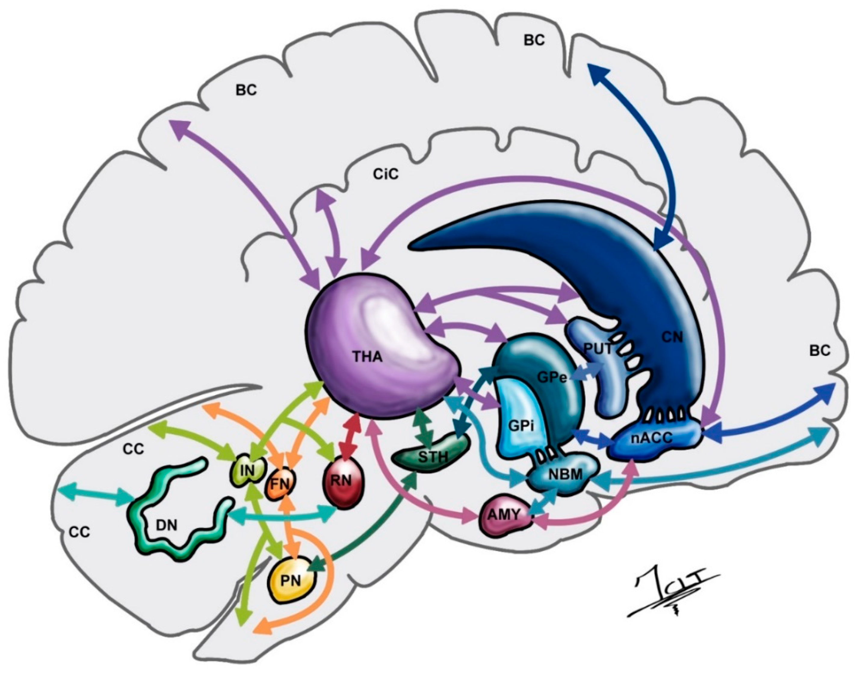 Ijerph 19 08799 g003