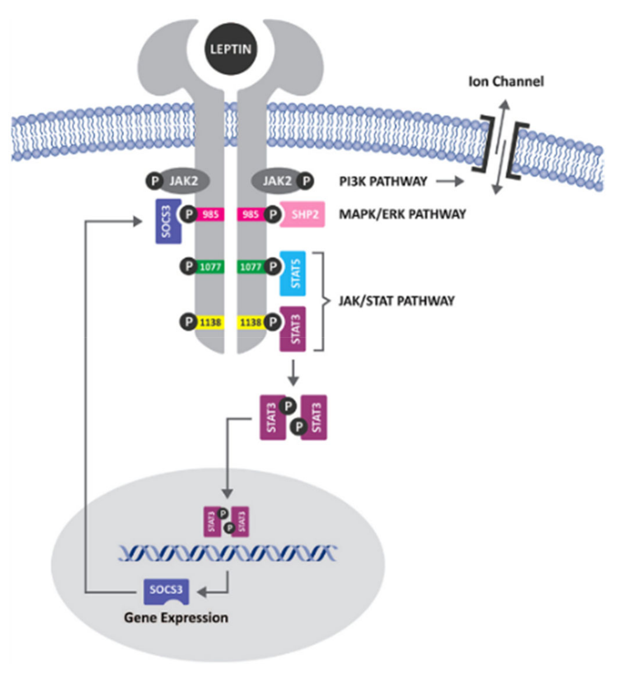 Ijerph 19 08862 g001 Ijerph 19 08862 g001