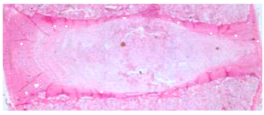 Ijerph 19 09042 g001