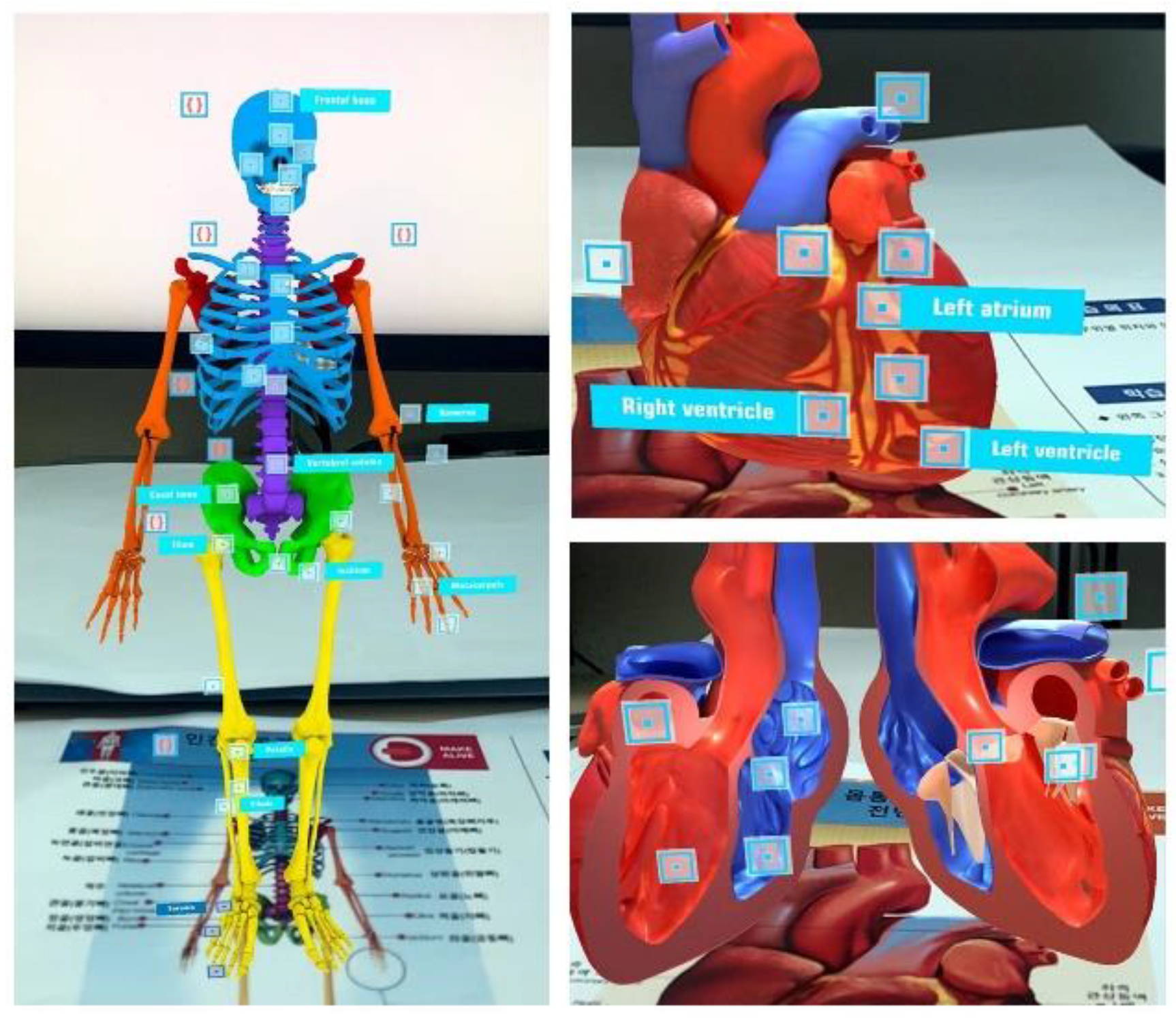 Ijerph 19 09058 g001