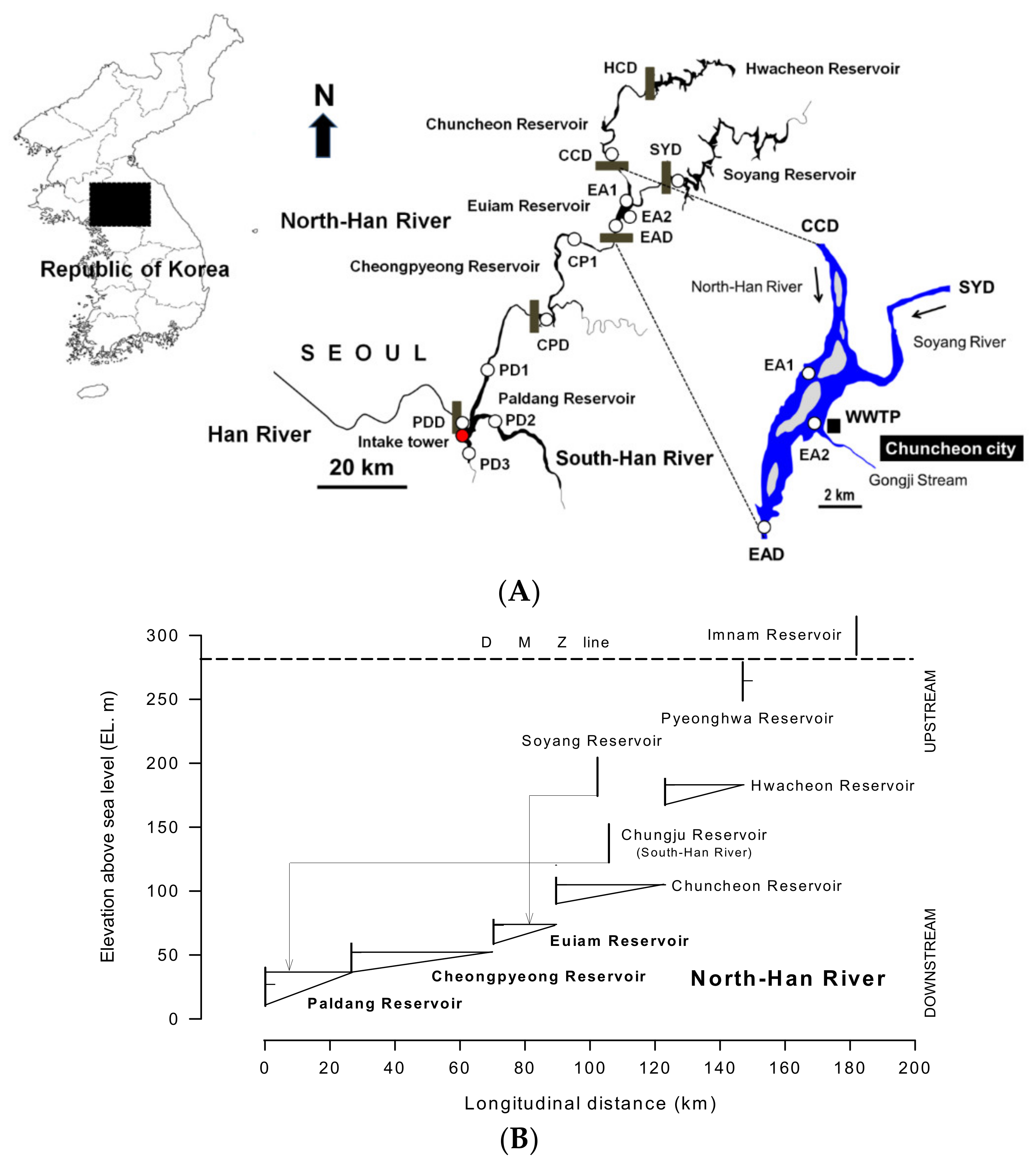 Ijerph 19 09294 g001