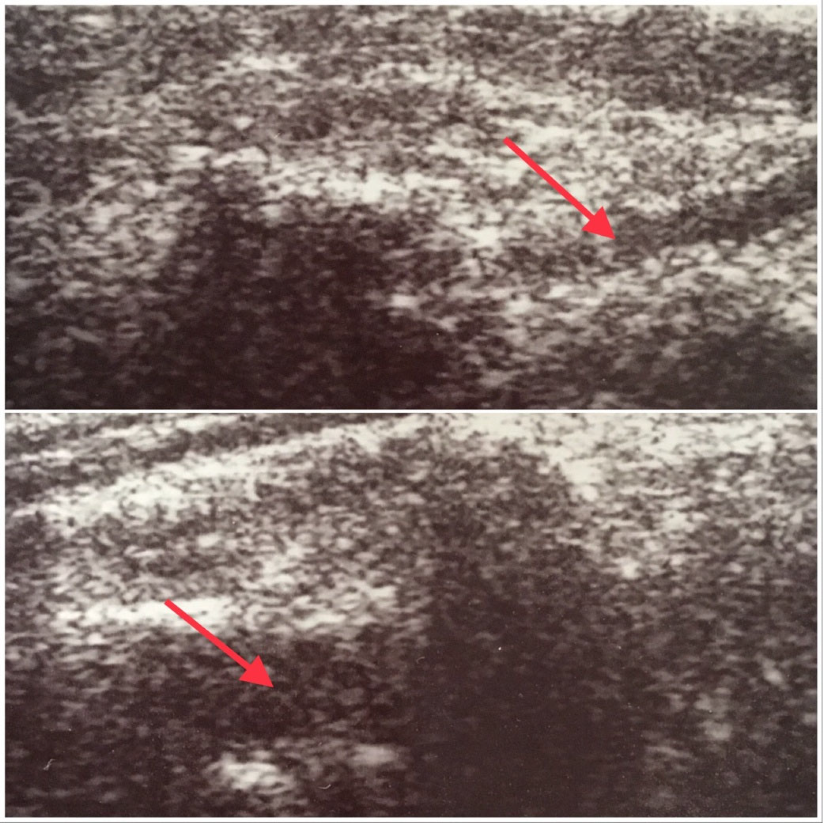 Ijerph 19 09317 g001