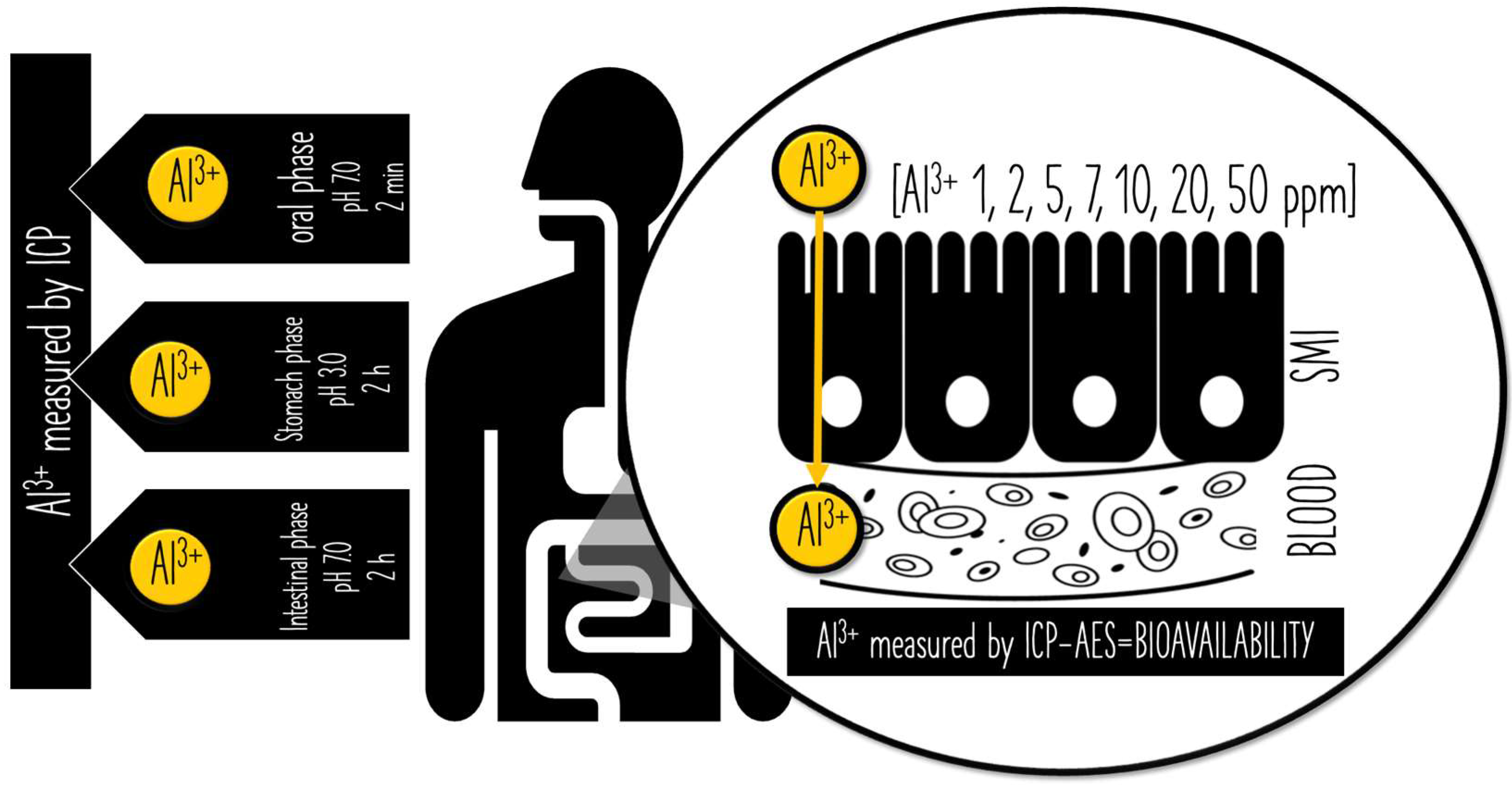 Ijerph 19 09362 g002