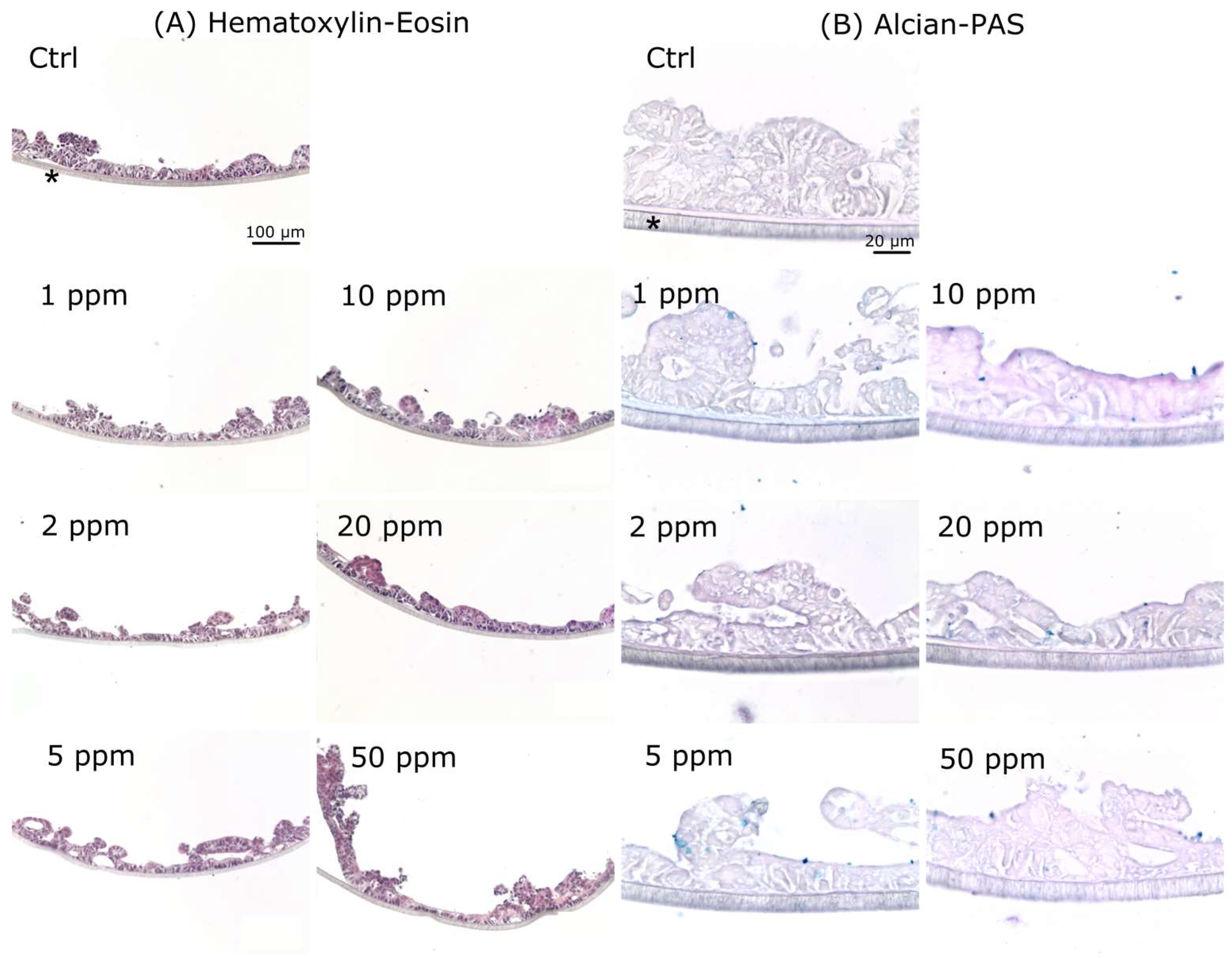 Ijerph 19 09362 g006