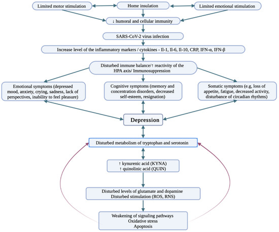 Ijerph 19 09573 g001 550