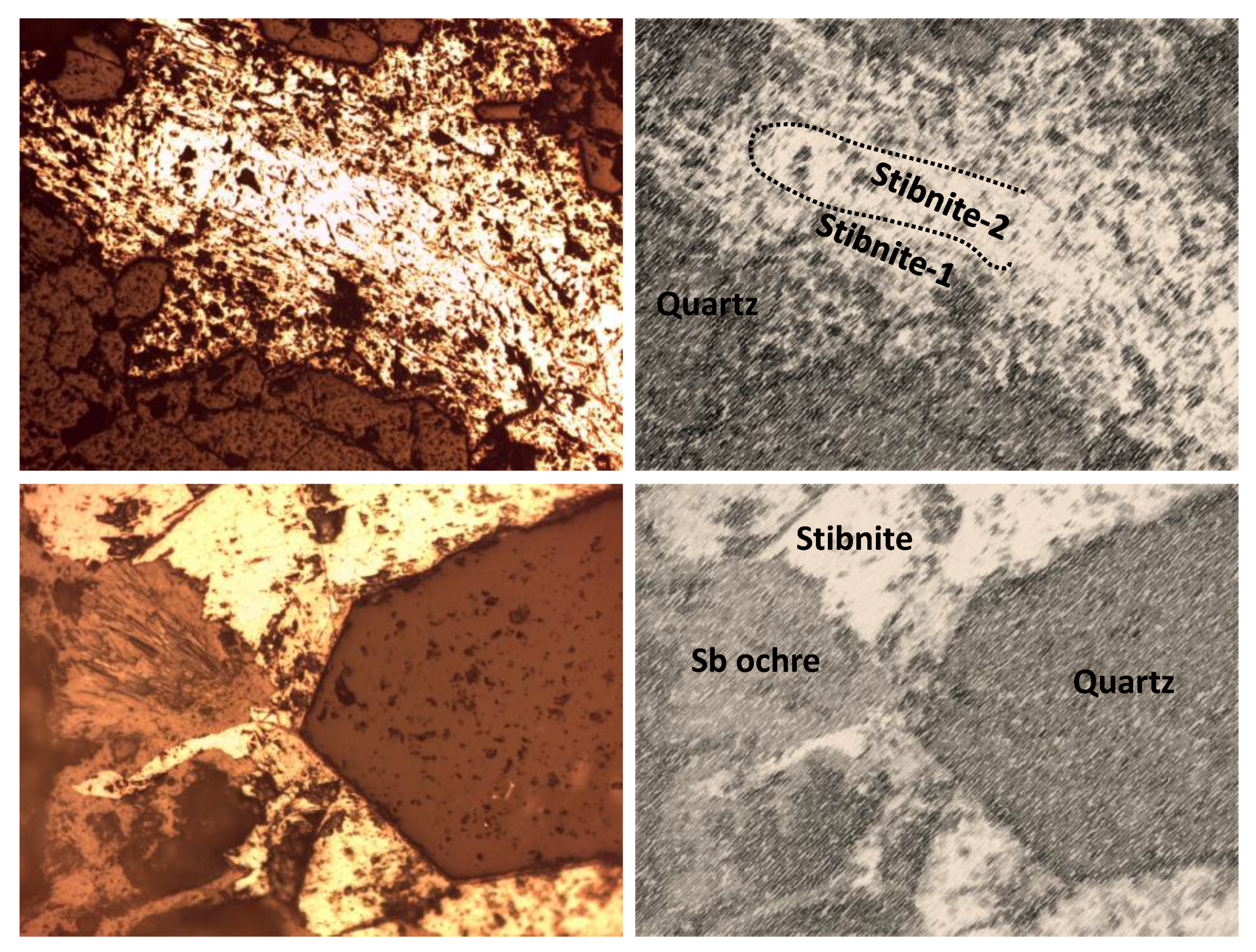 Ijerph 19 09609 g003