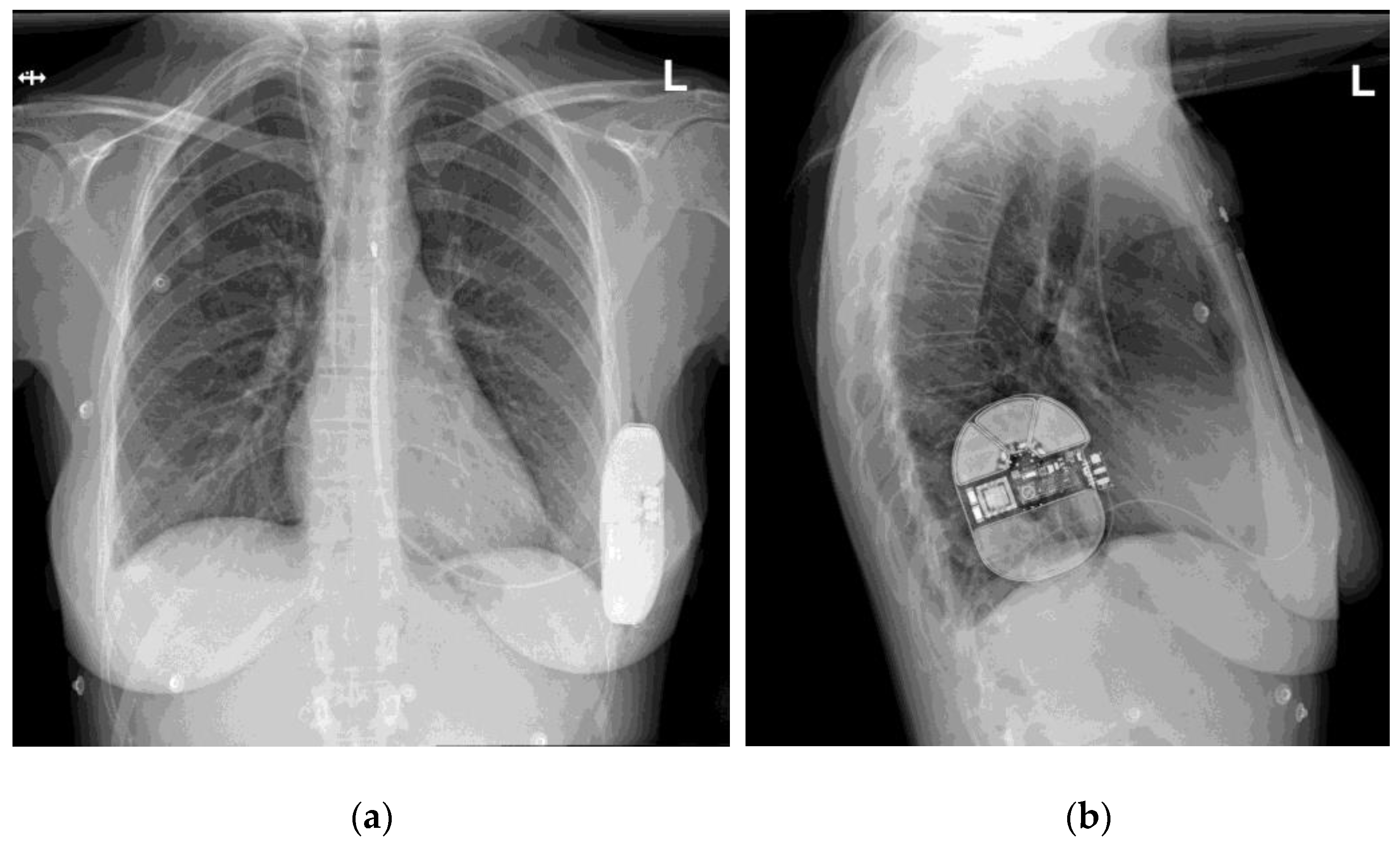 Ijerph 19 09700 g001