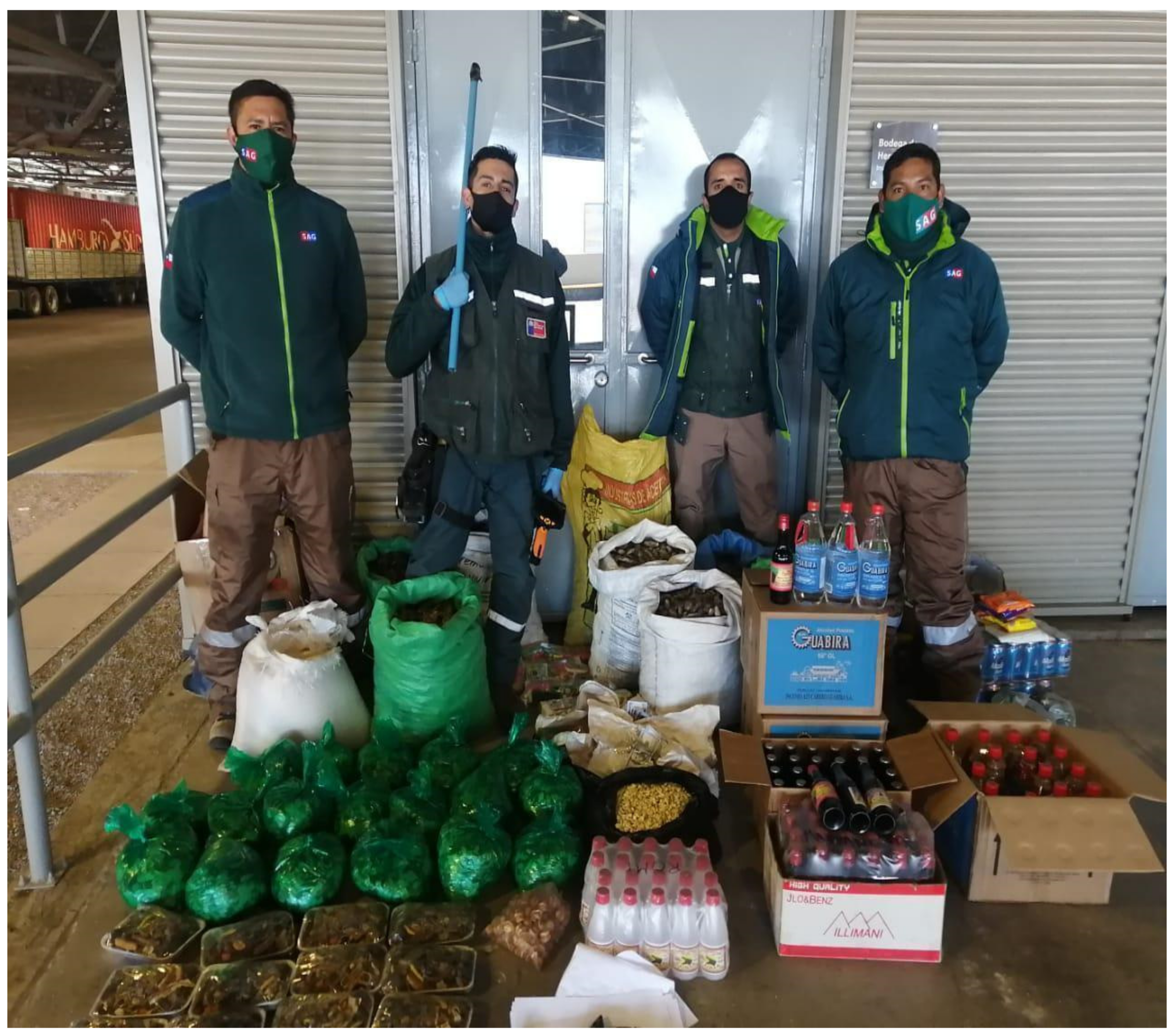 Ijerph 19 09728 g003