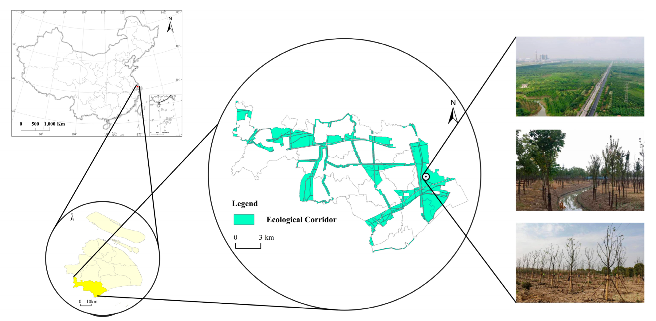 Ijerph 19 09747 g002