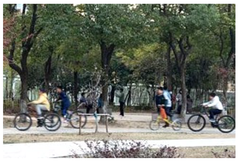 Ijerph 19 09860 i031