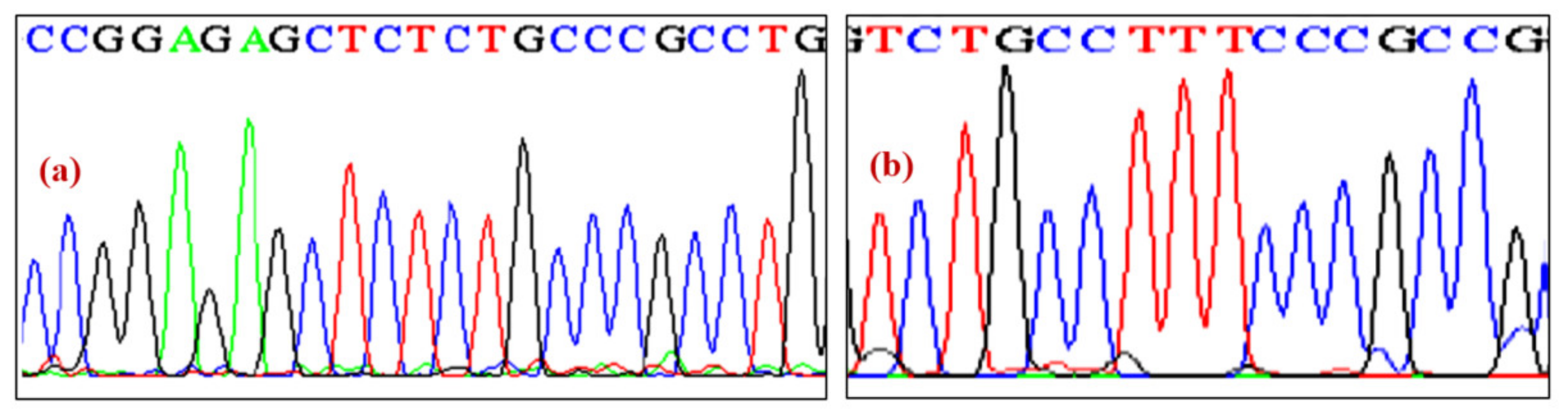 Ijerph 19 09884 g001