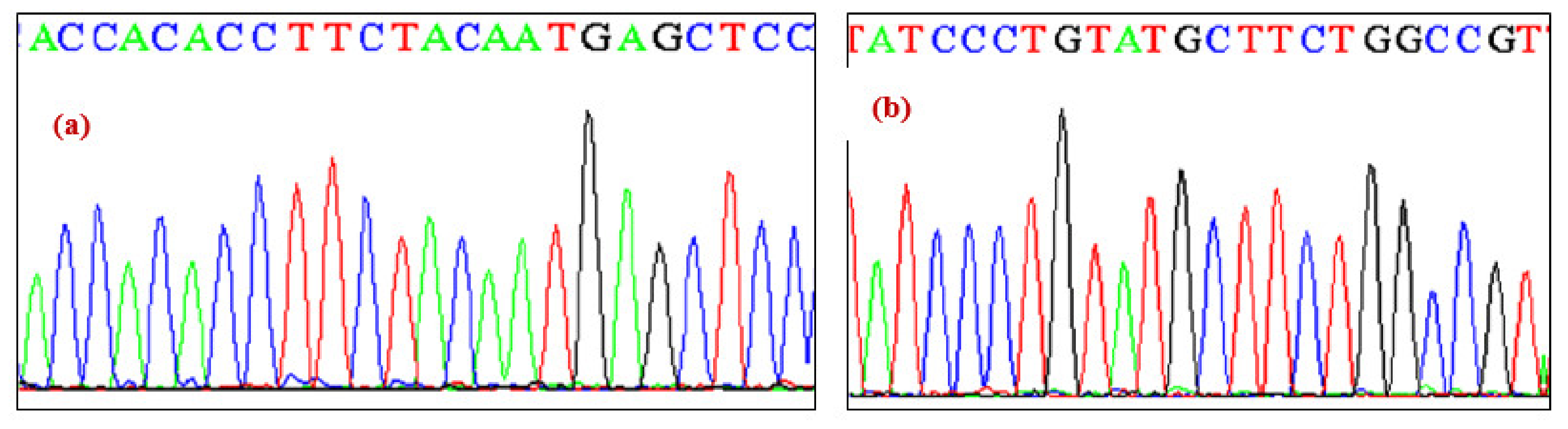 Ijerph 19 09884 g002