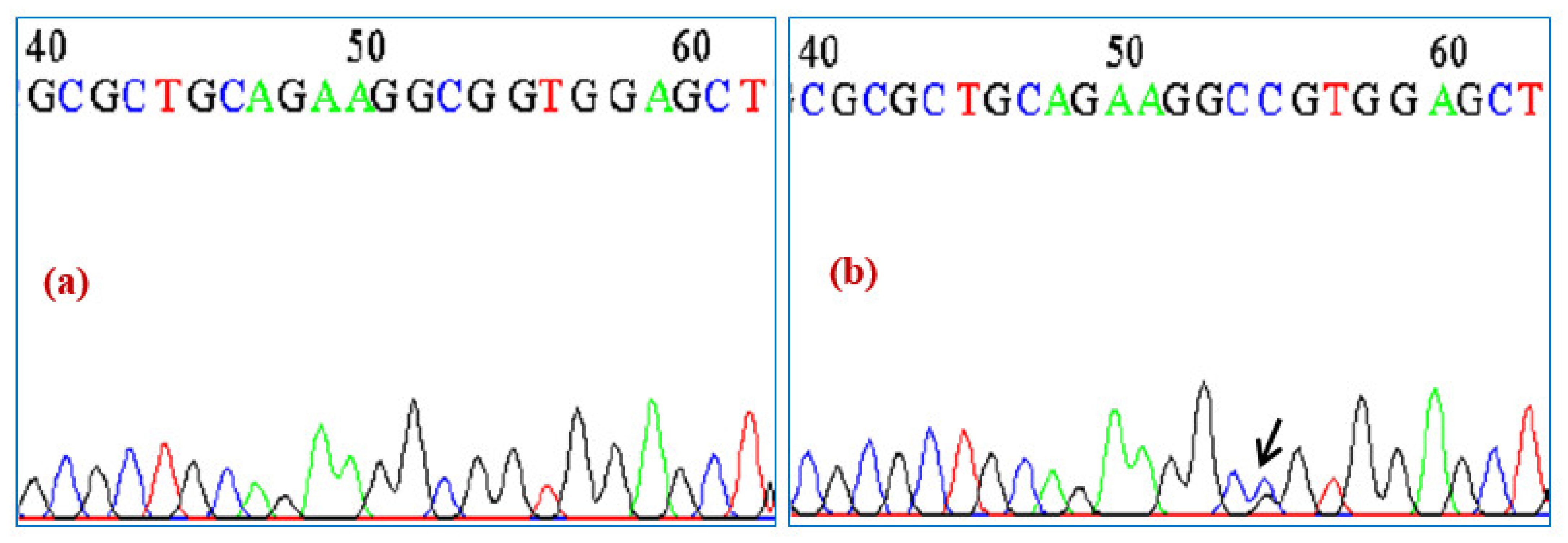 Ijerph 19 09884 g003