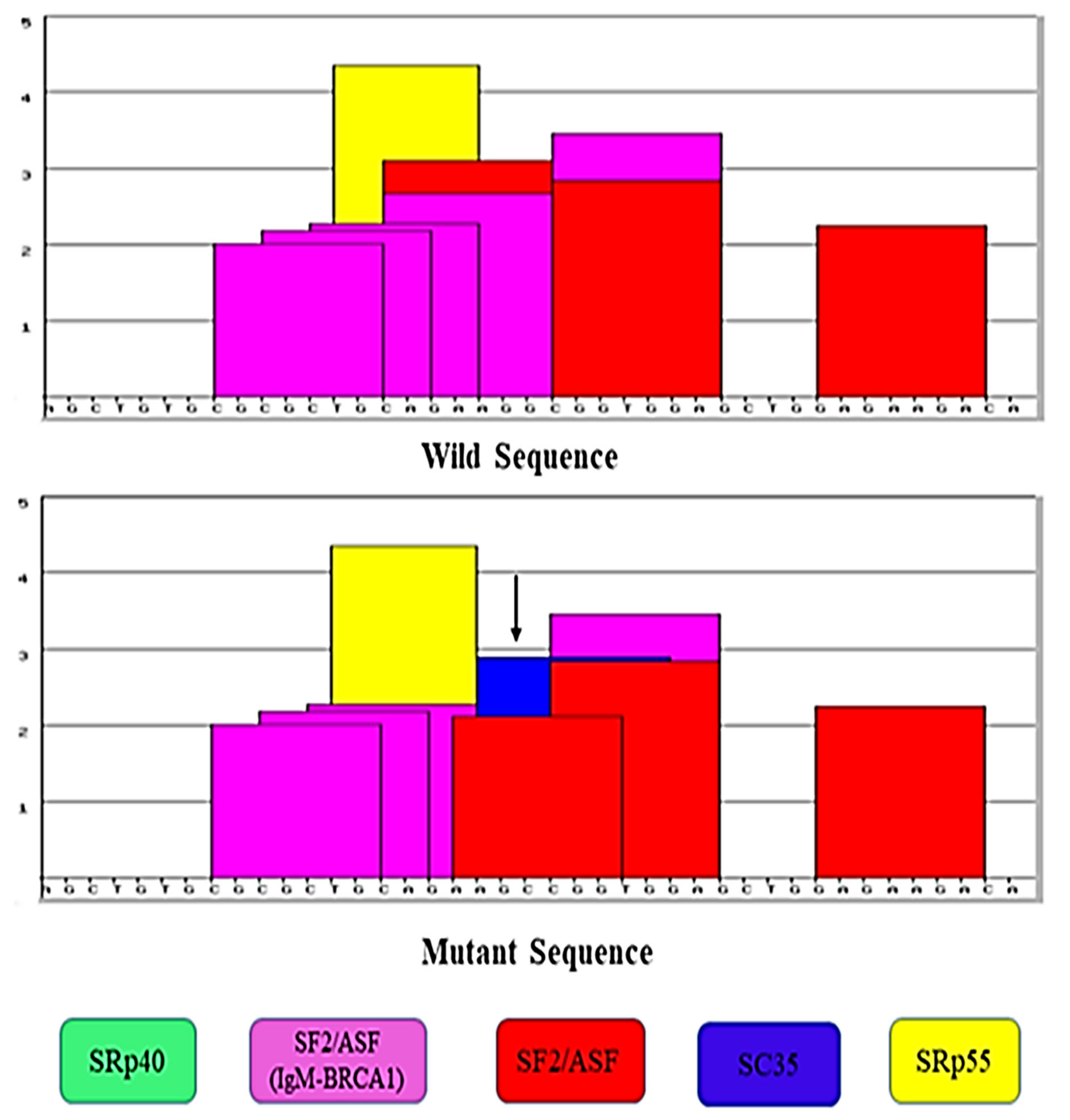 Ijerph 19 09884 g004
