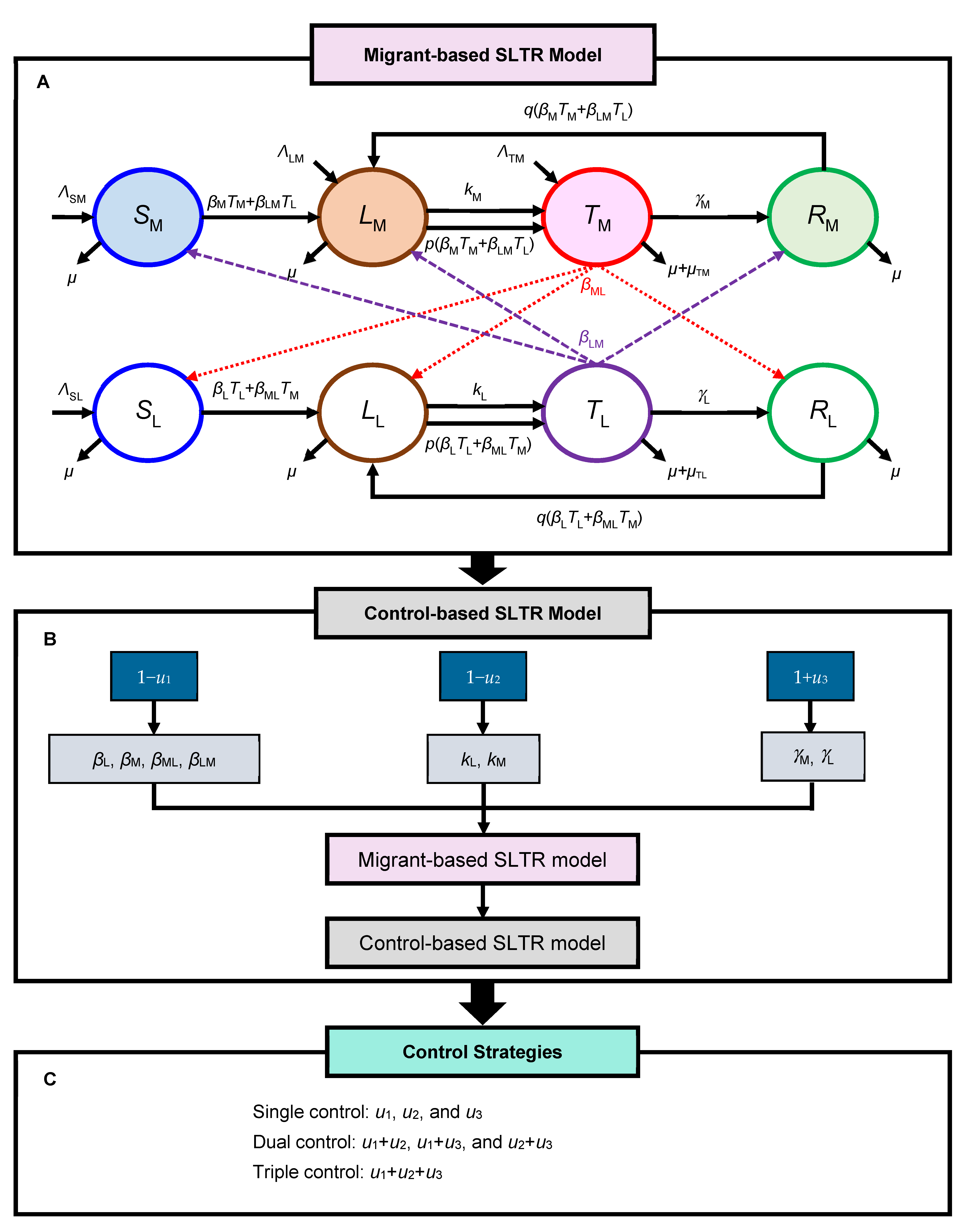 Ijerph 19 09899 g001