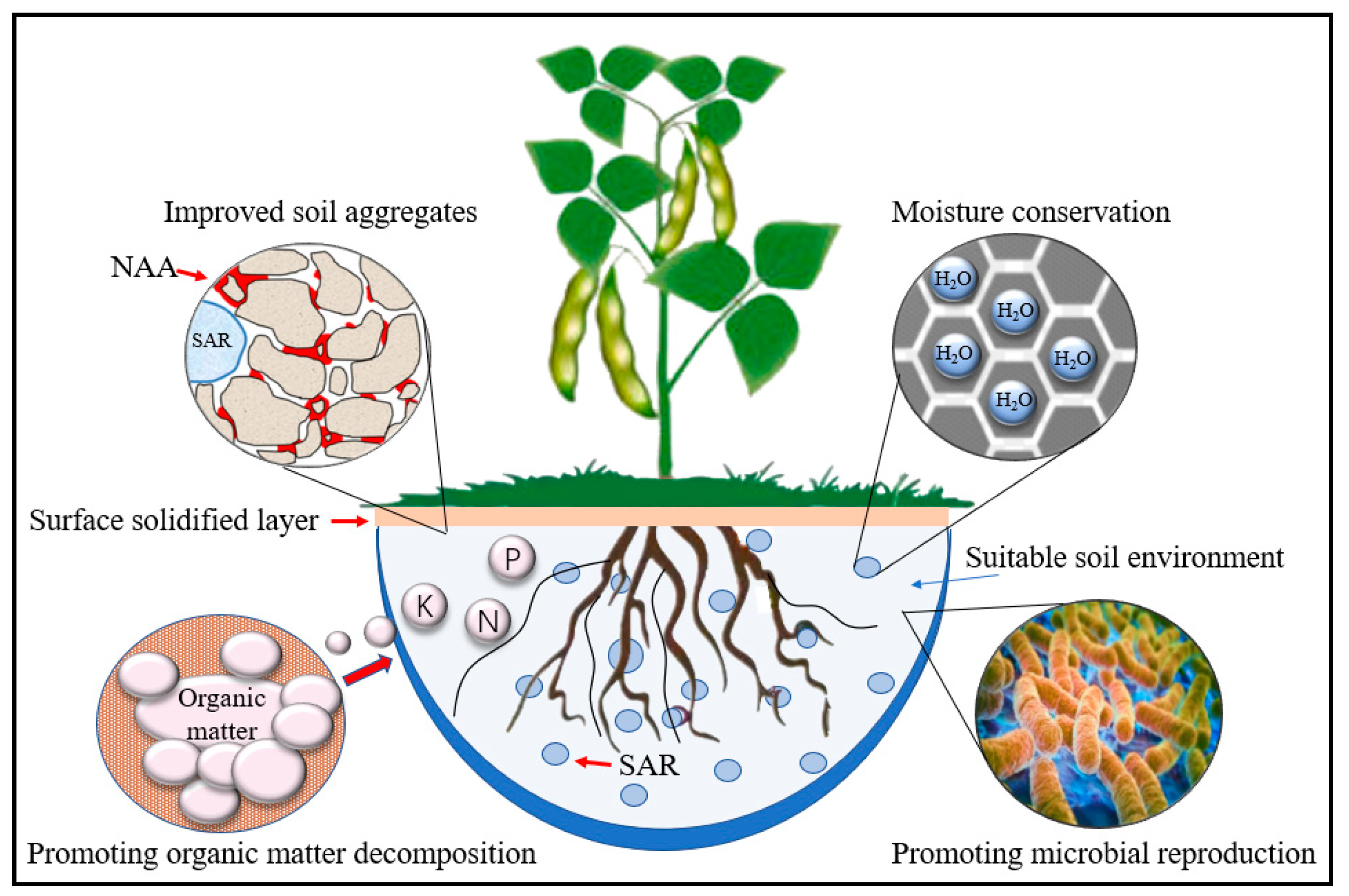 Ijerph 19 09933 g010