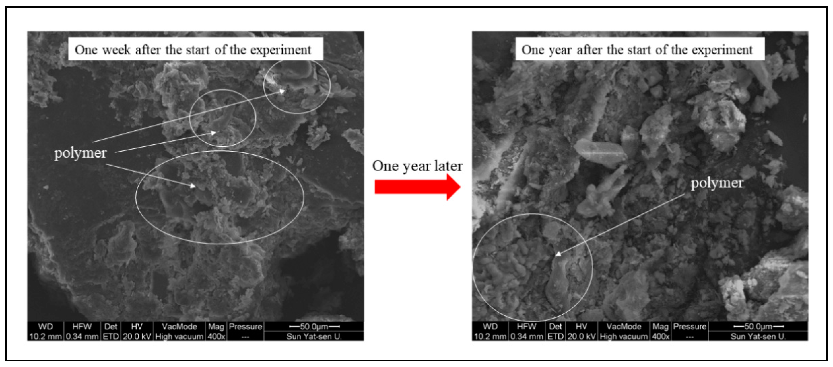 Ijerph 19 09933 g011