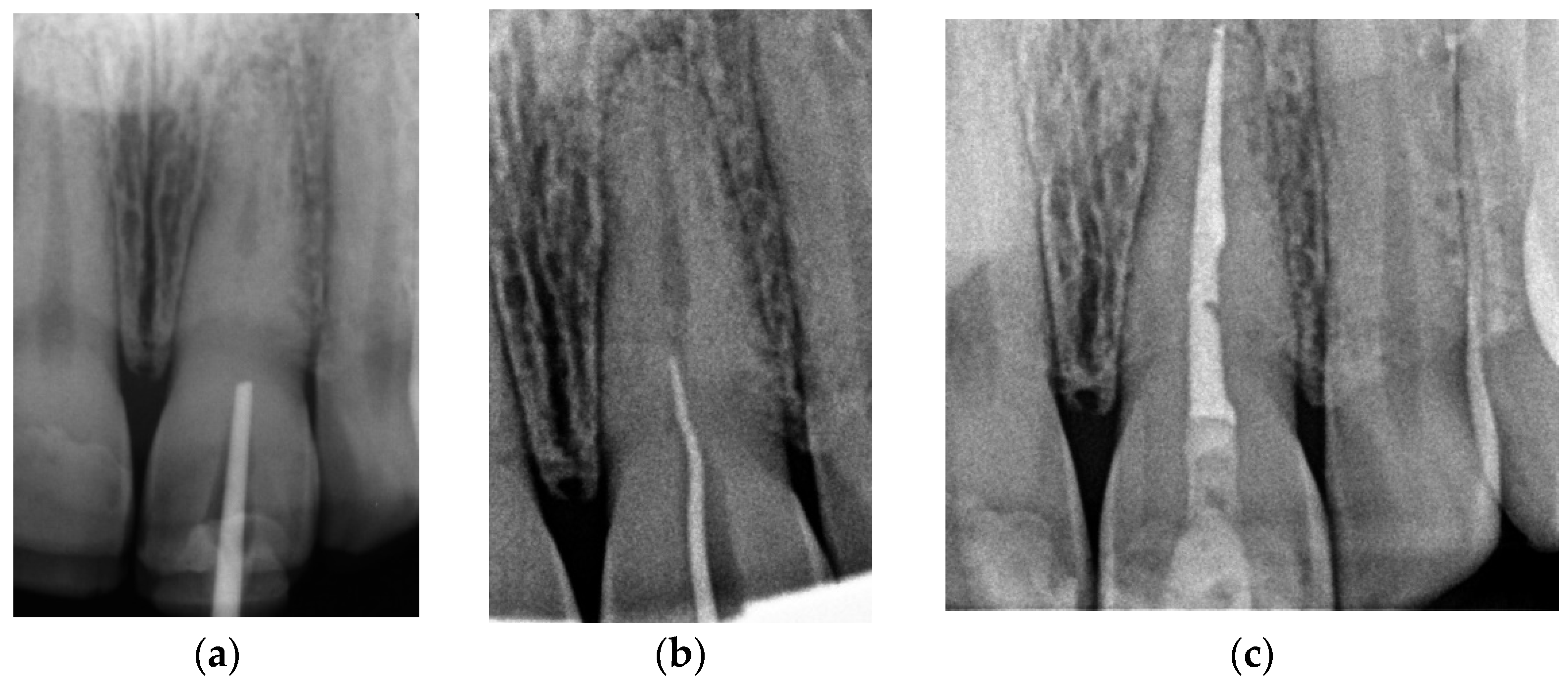 Ijerph 19 09958 g015