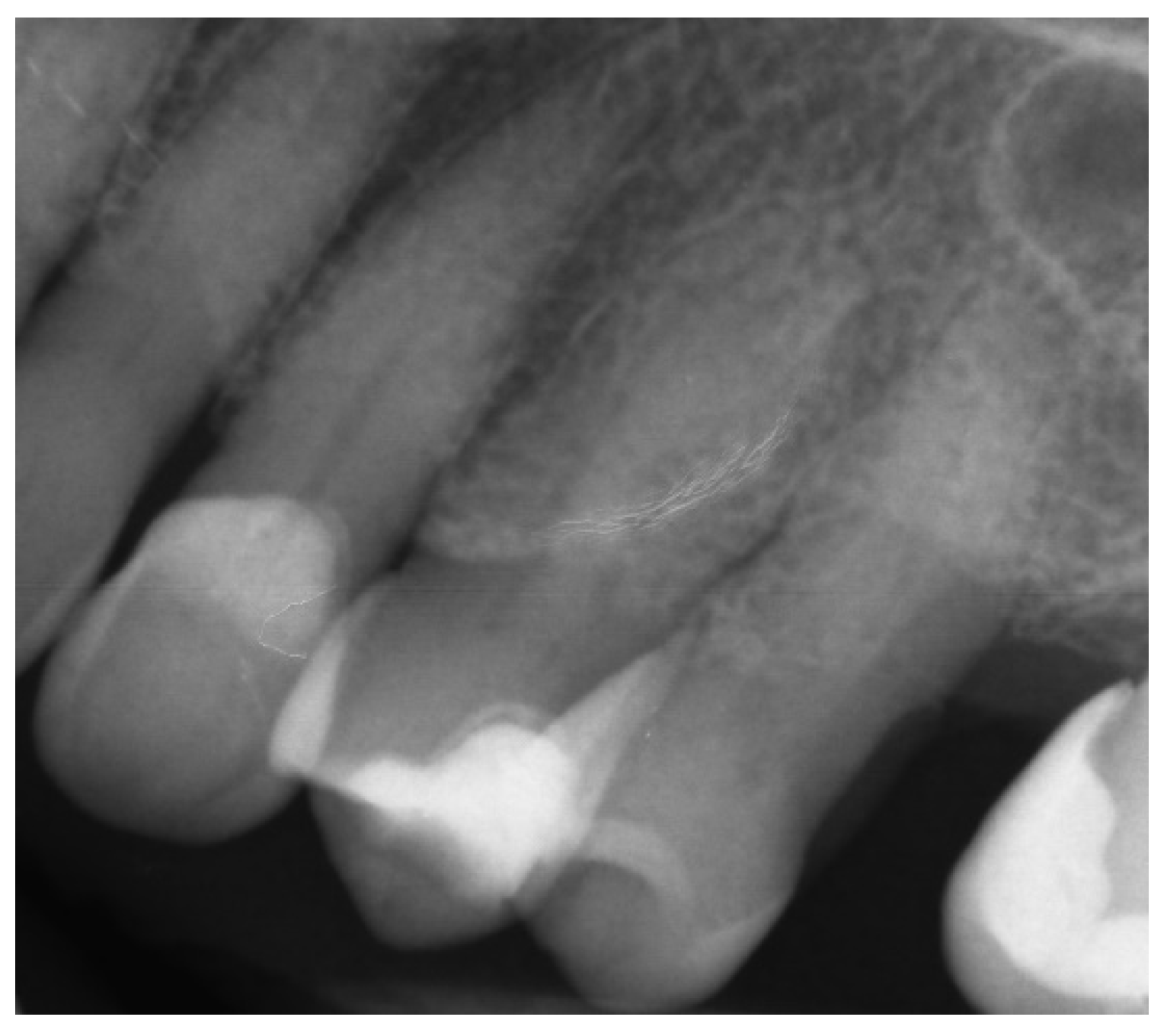 Ijerph 19 09958 g024