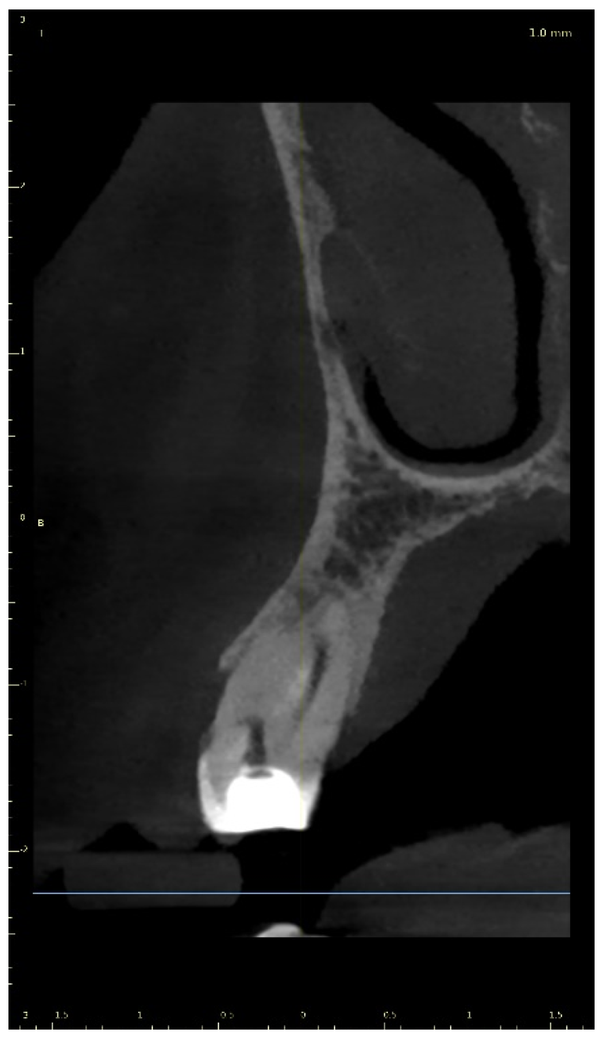 Ijerph 19 09958 g025