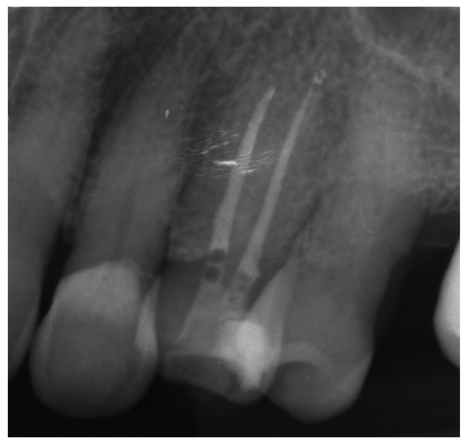 Ijerph 19 09958 g028