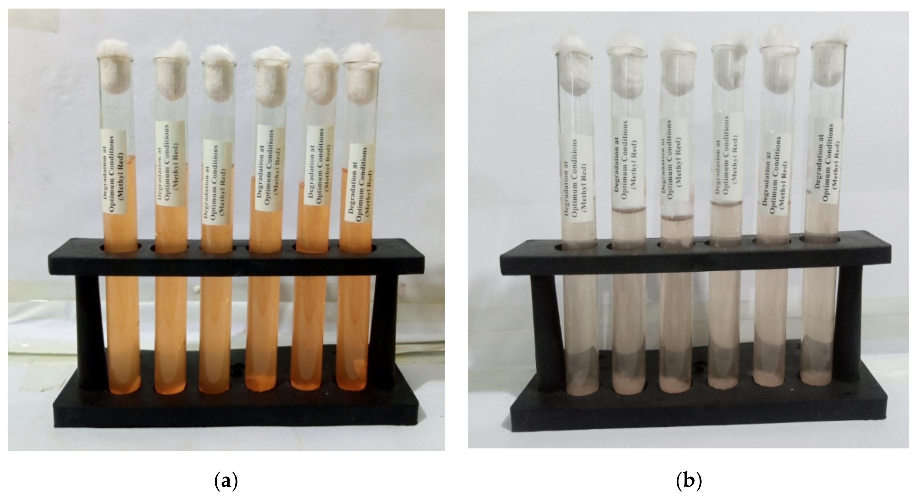 Ijerph 19 09962 g010