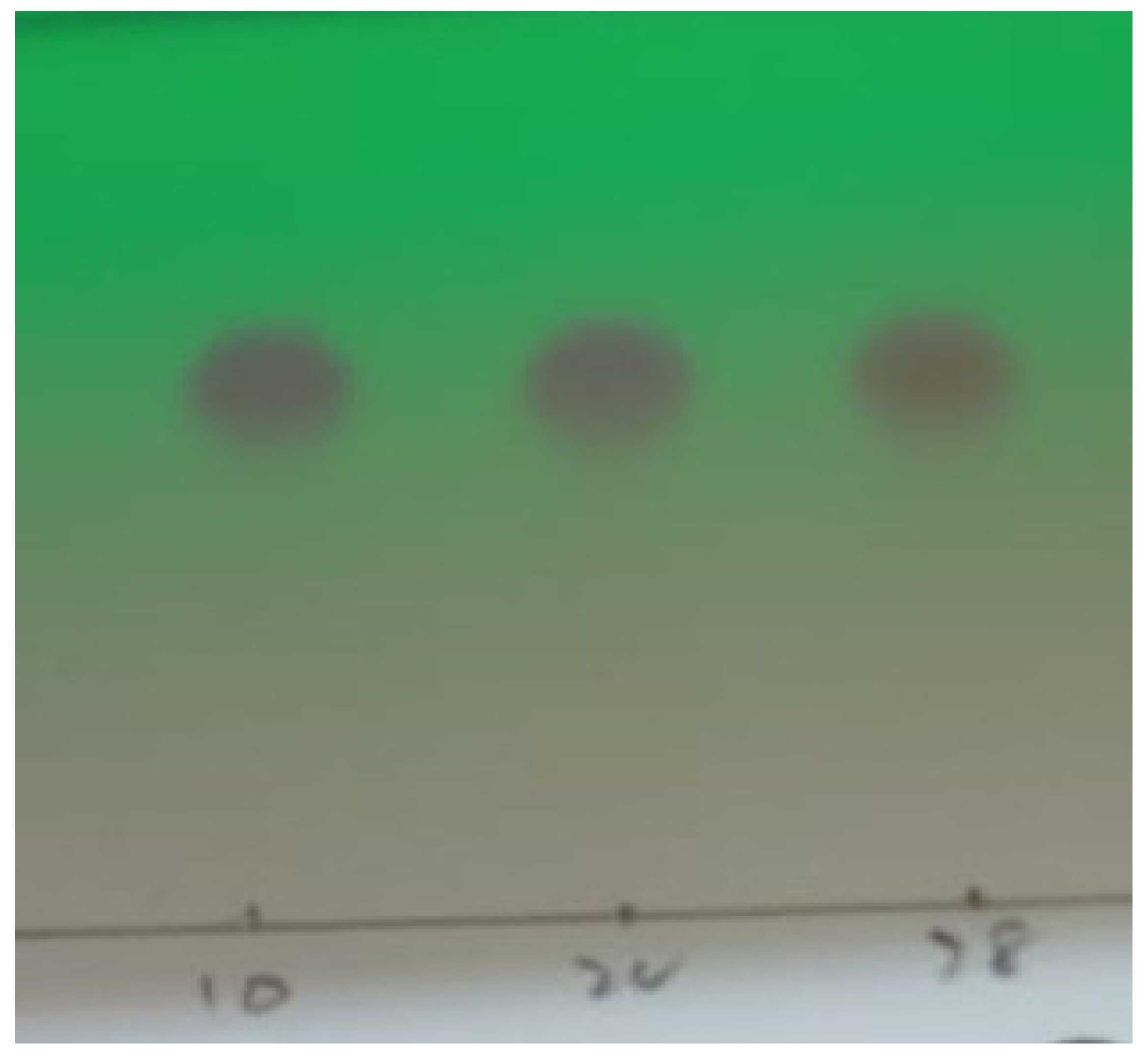 Ijerph 19 09962 g014