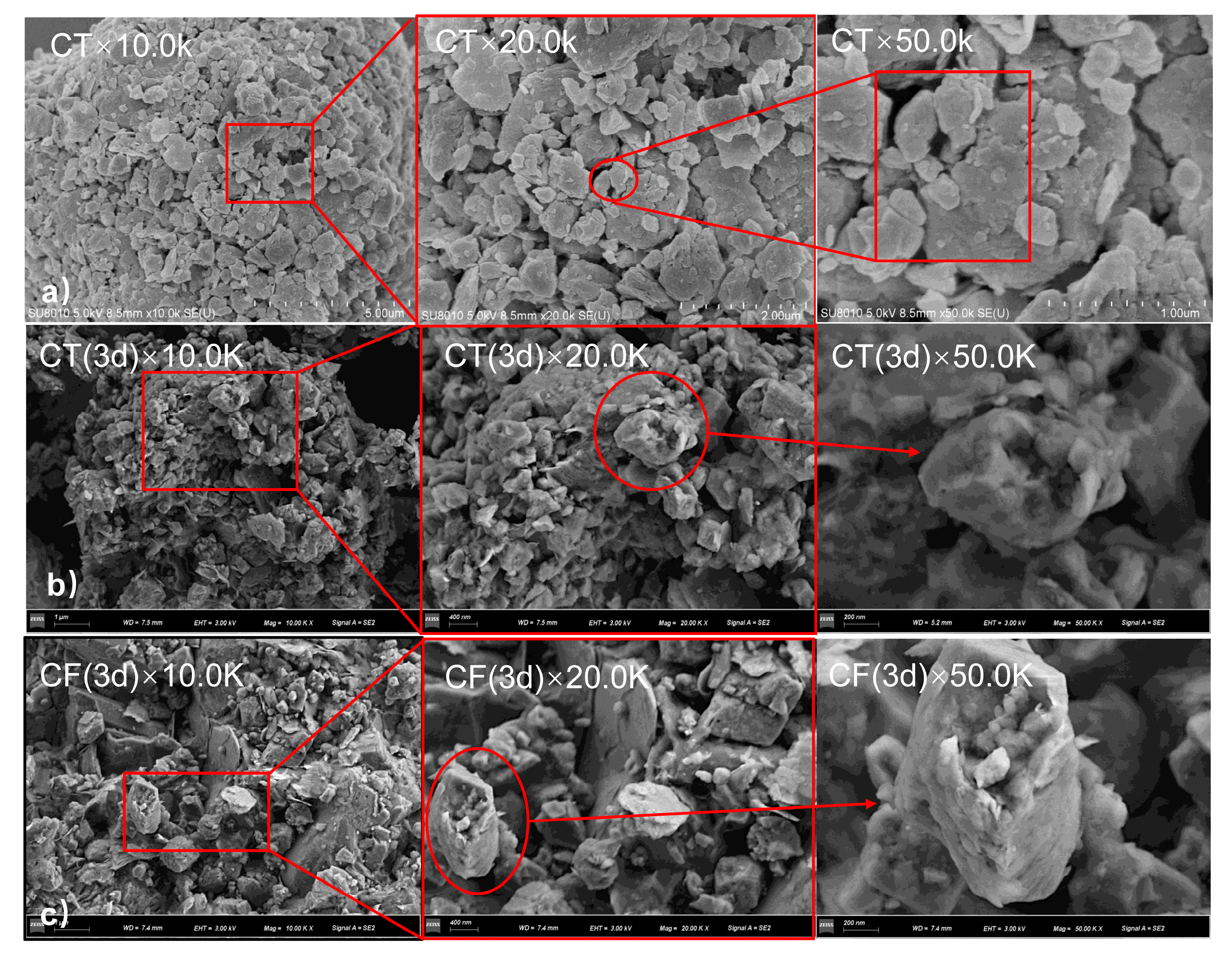 Ijerph 19 09970 g004