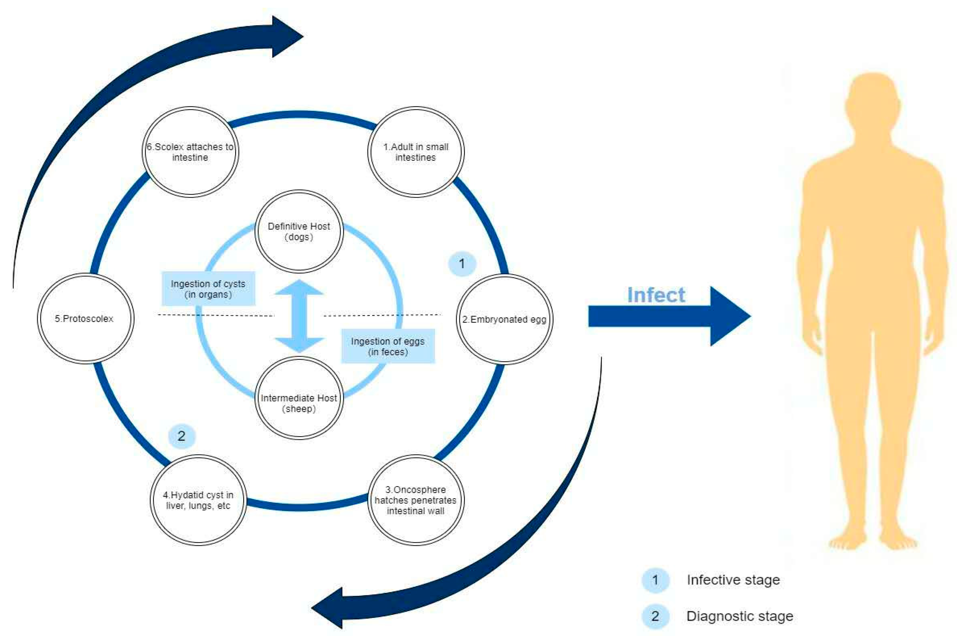 Ijerph 19 09990 g002