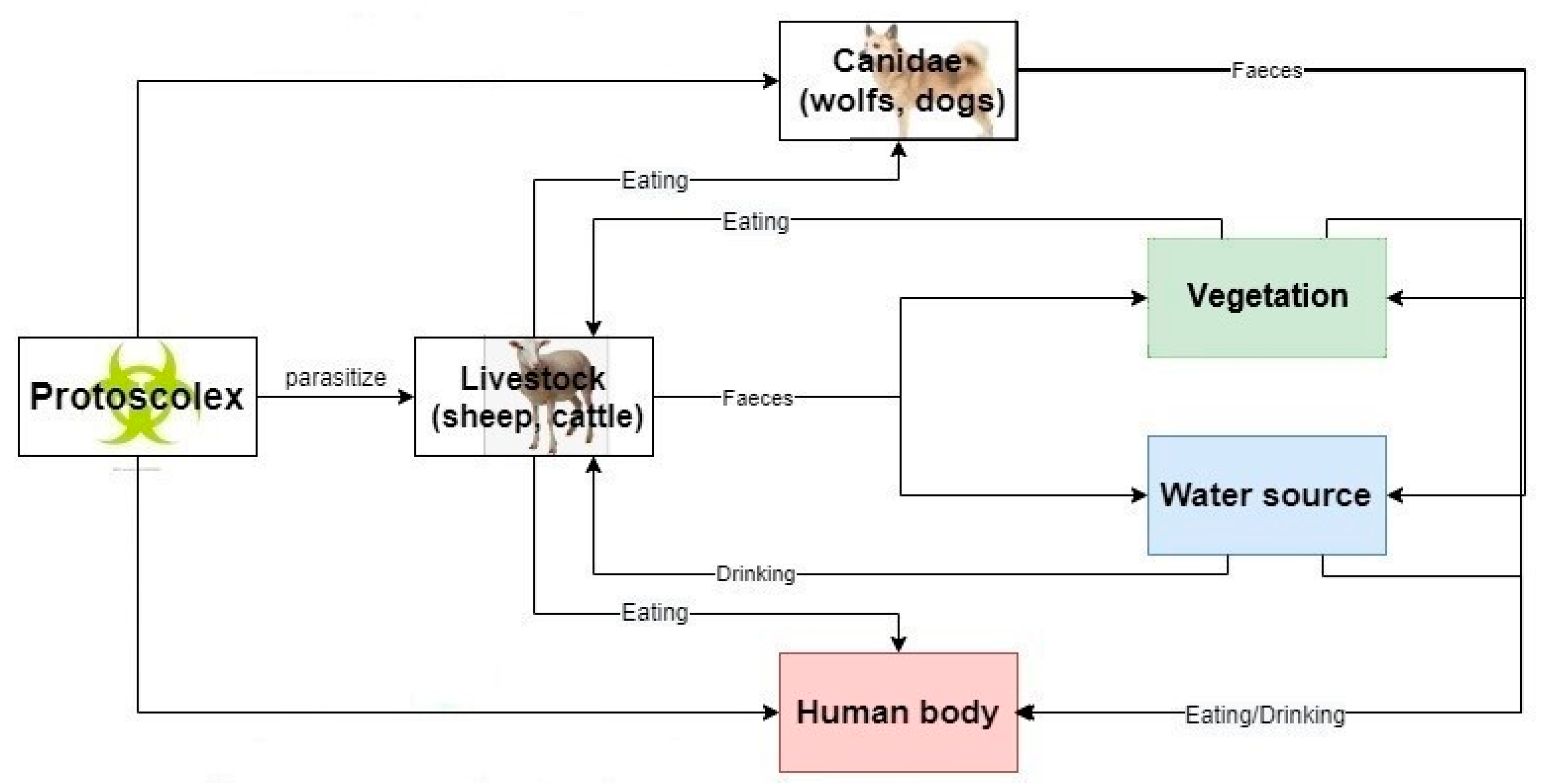 Ijerph 19 09990 g003