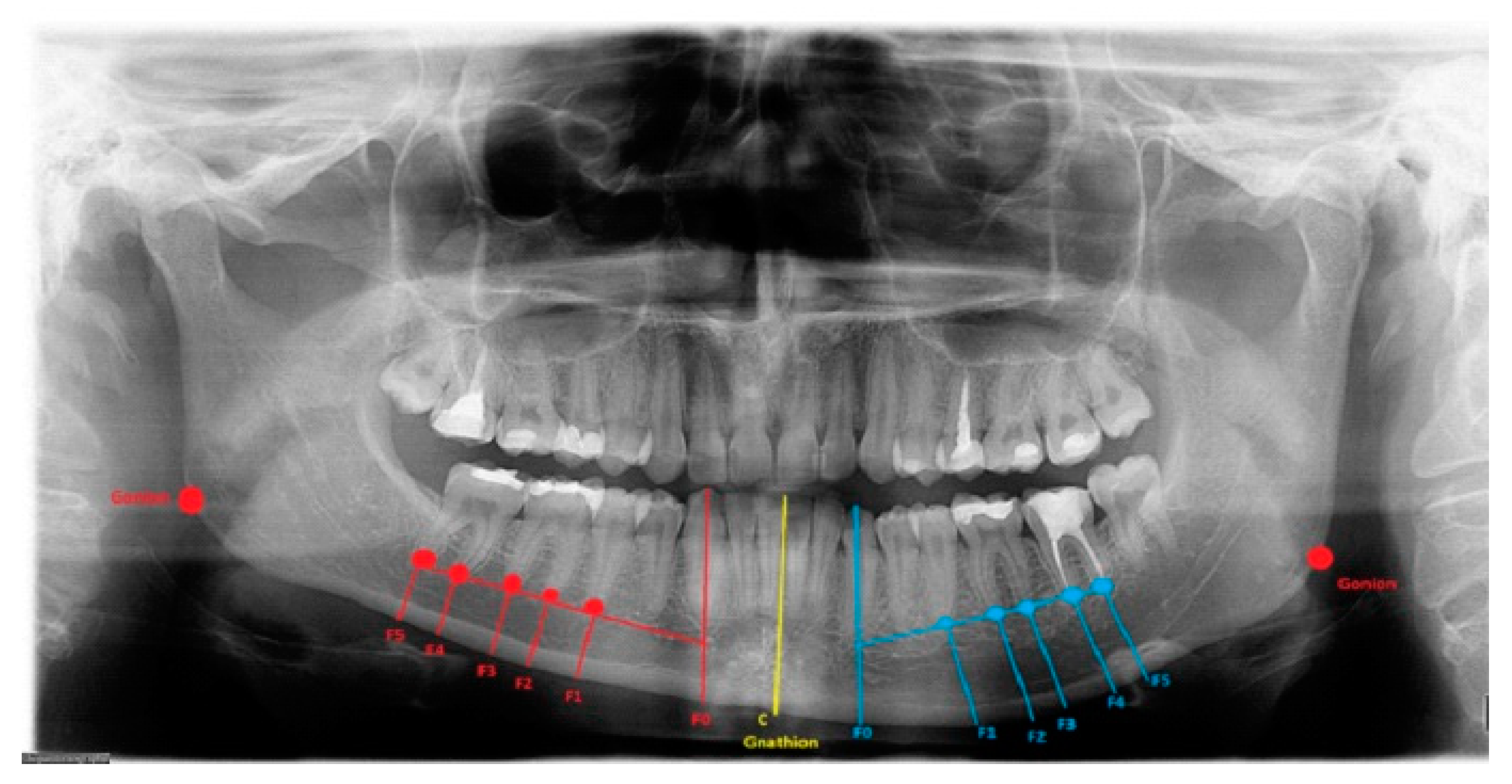 Ijerph 19 10005 g001