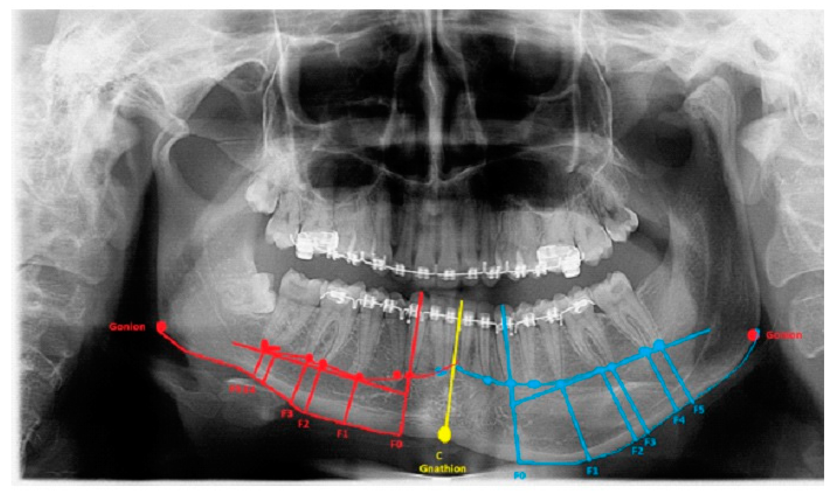 Ijerph 19 10005 g002