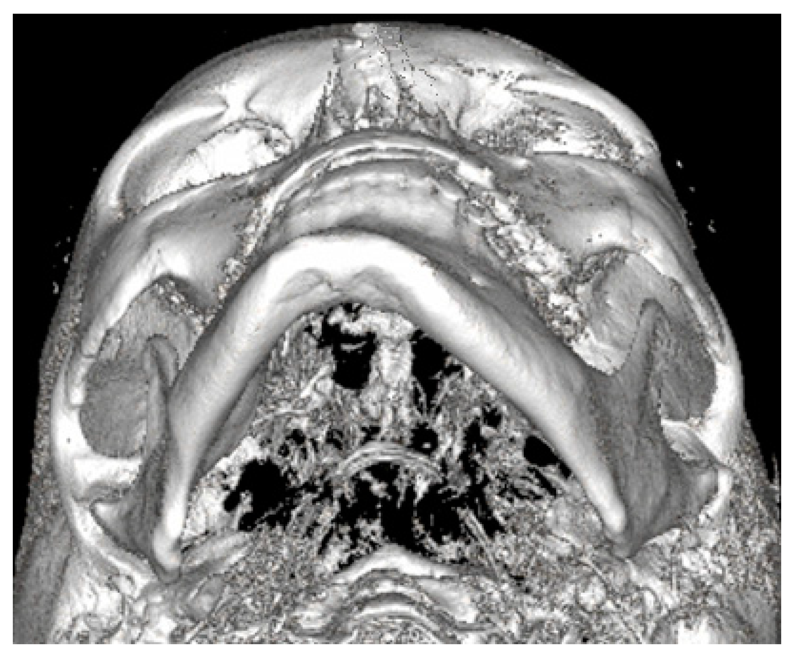 Ijerph 19 10005 g004