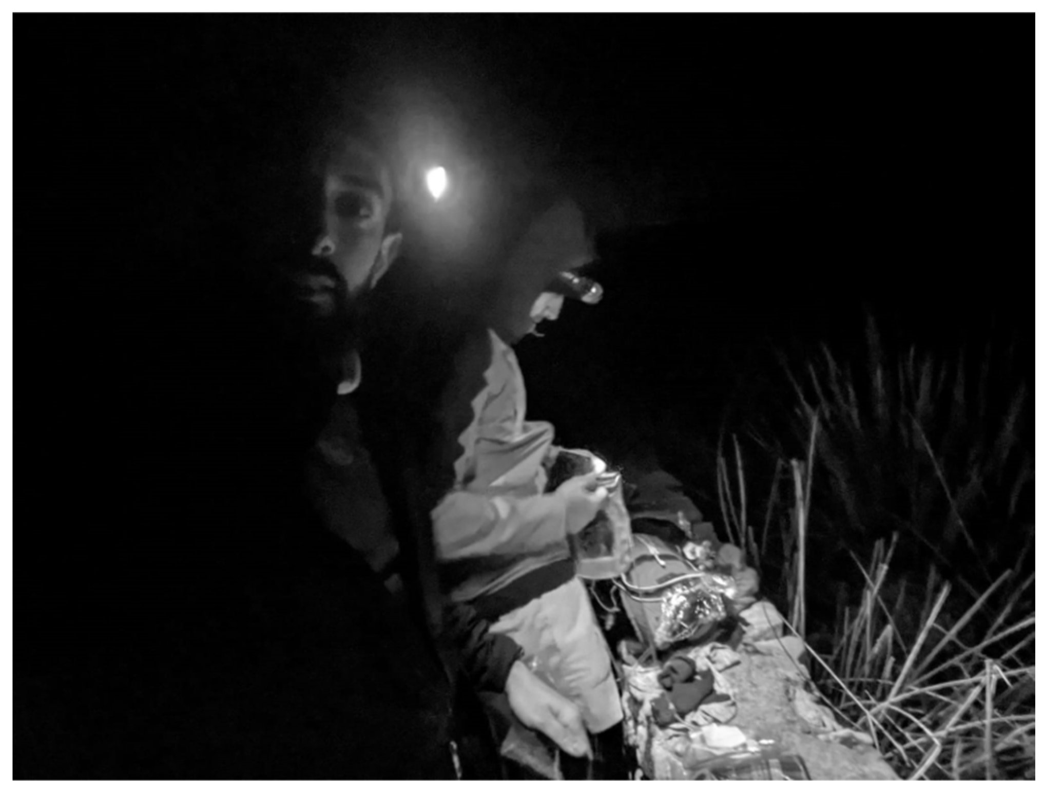 Ijerph 19 10007 g002