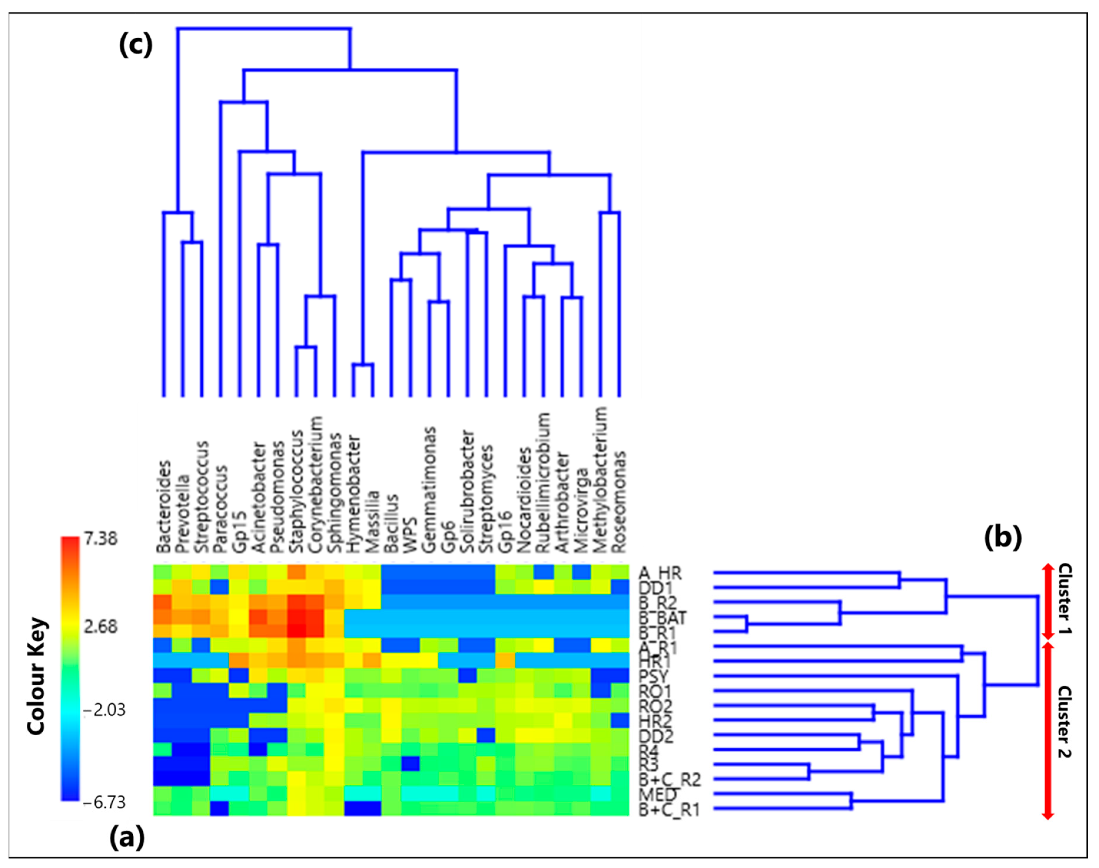 Ijerph 19 10107 g001