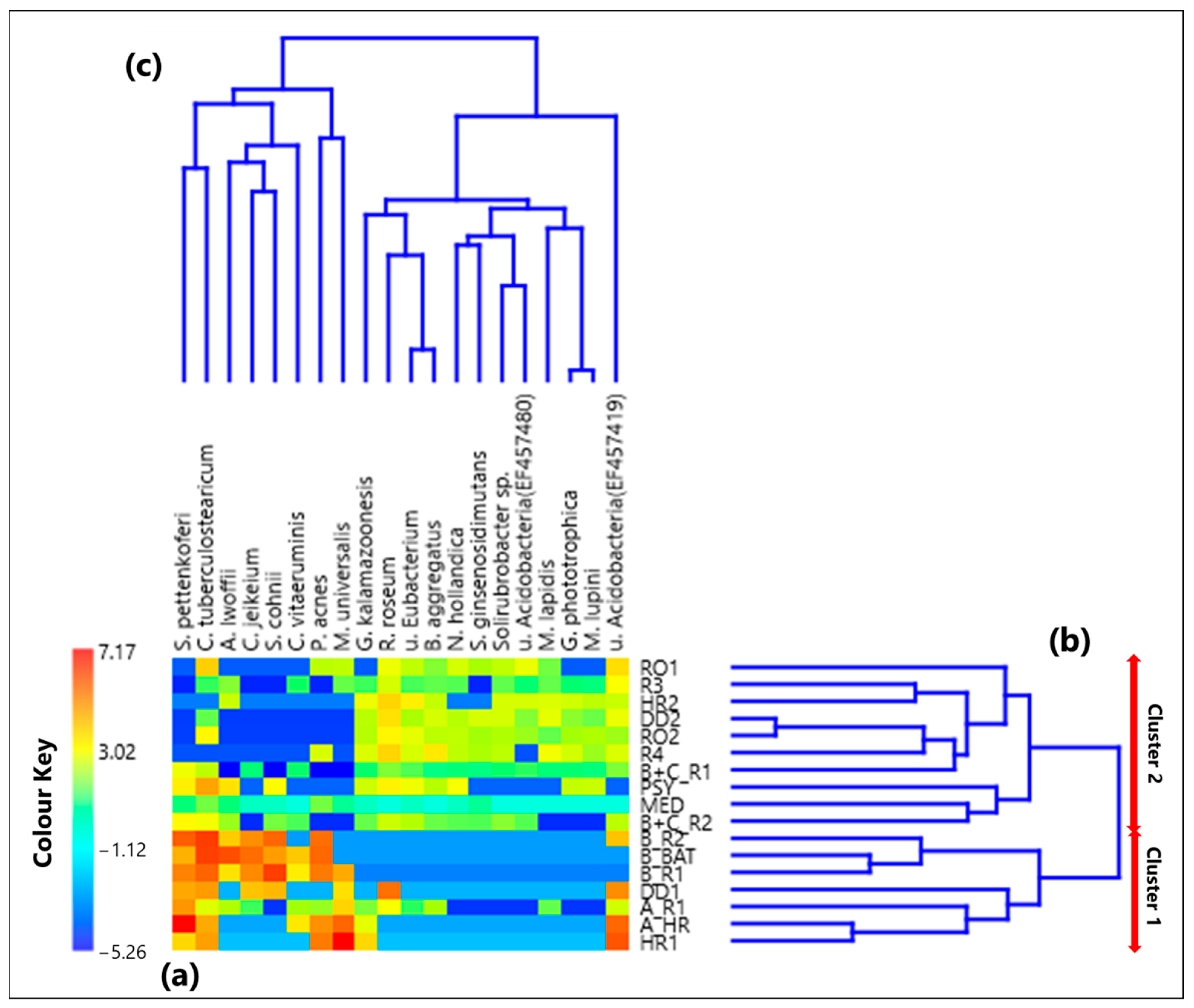 Ijerph 19 10107 g004