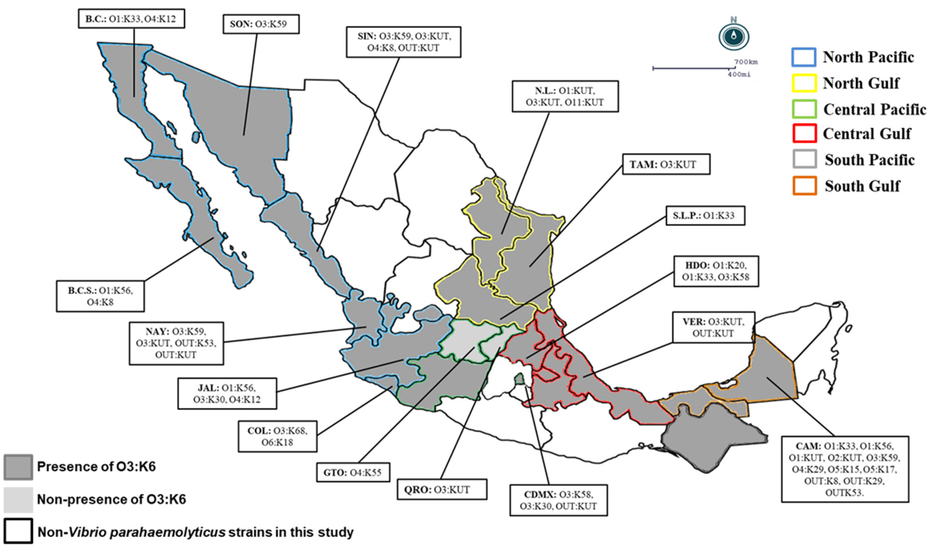 Ijerph 19 10318 g001