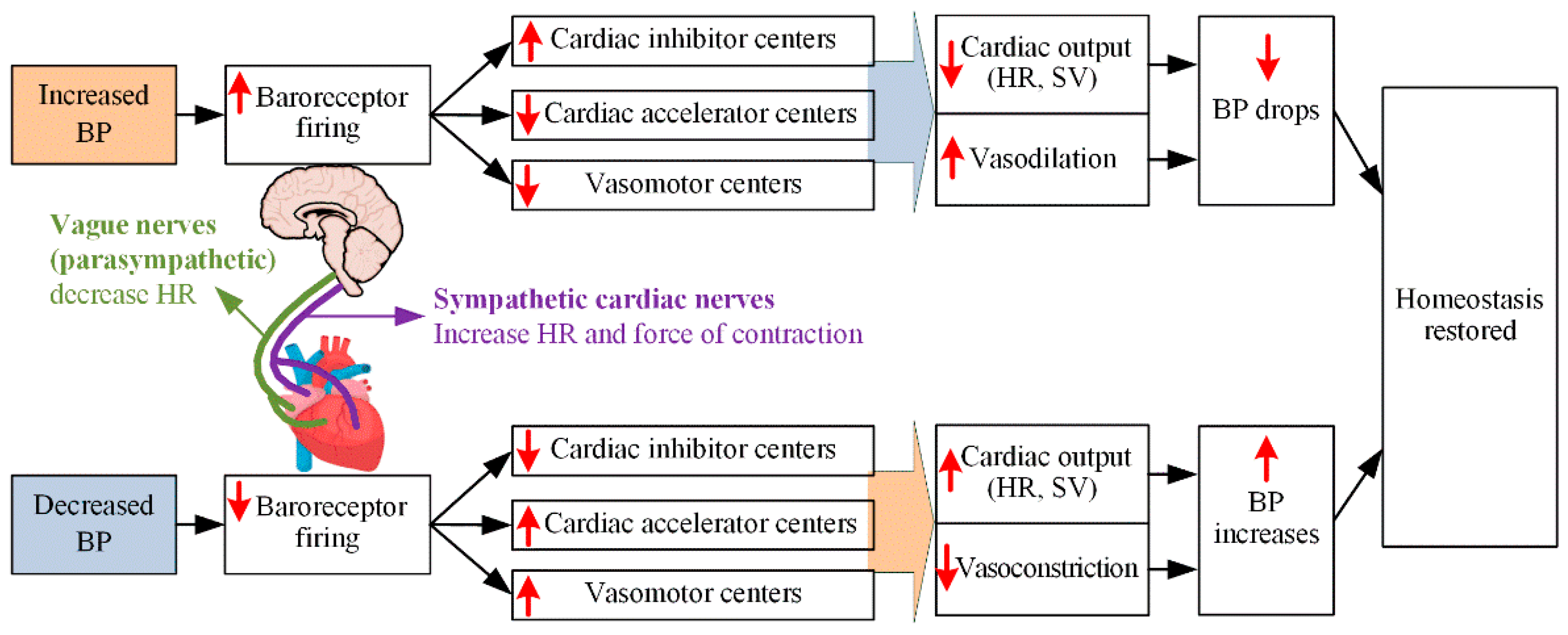 Ijerph 19 10373 g005