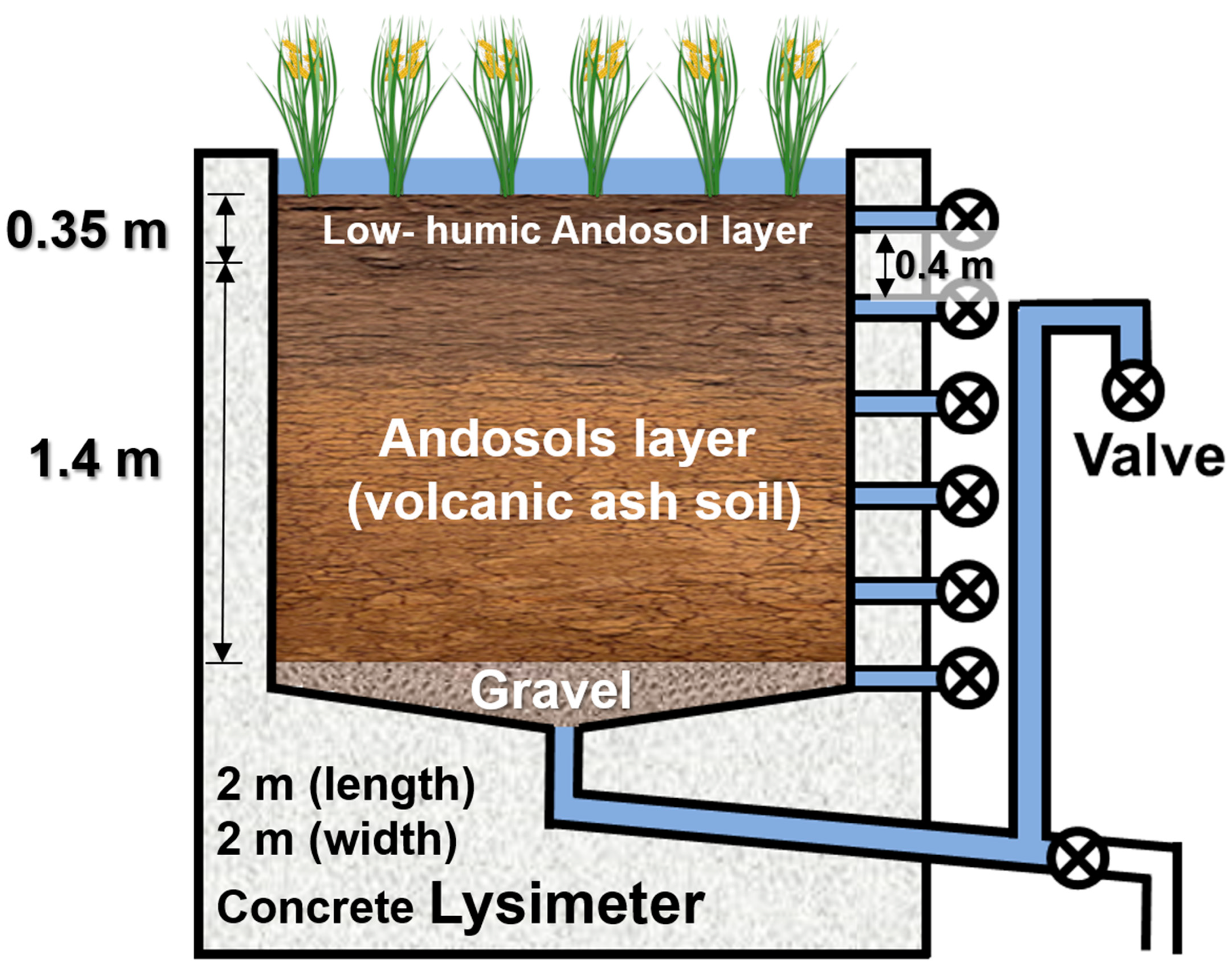 Ijerph 19 10379 g001