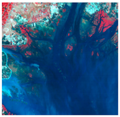 Ijerph 19 10469 i007