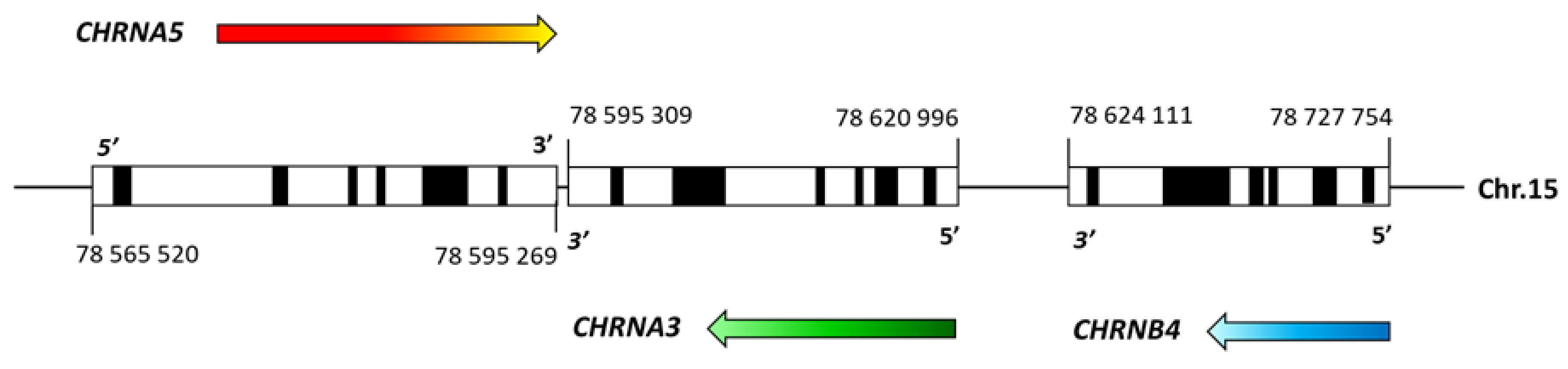 Ijerph 19 10478 g001