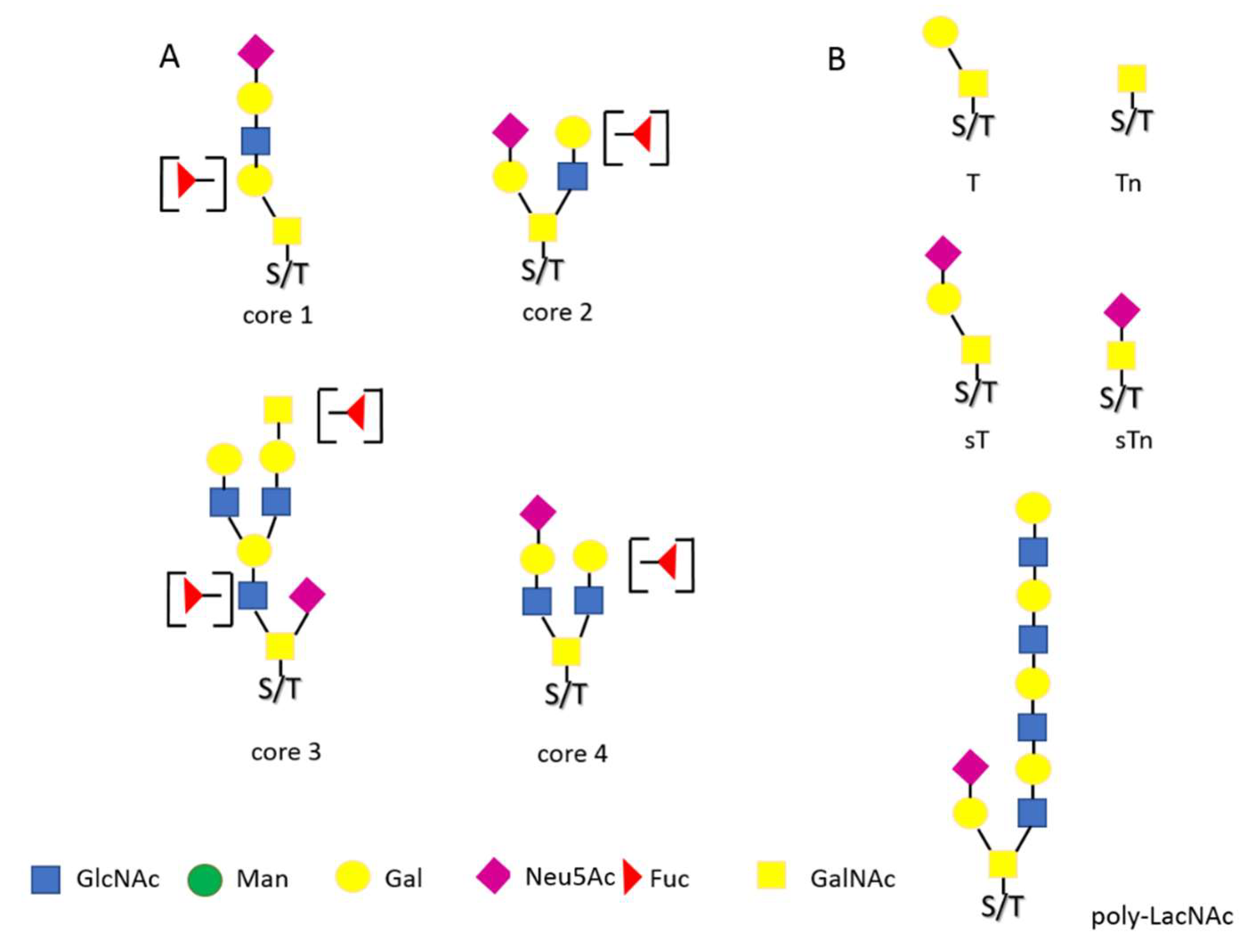 Ijerph 19 10489 g002