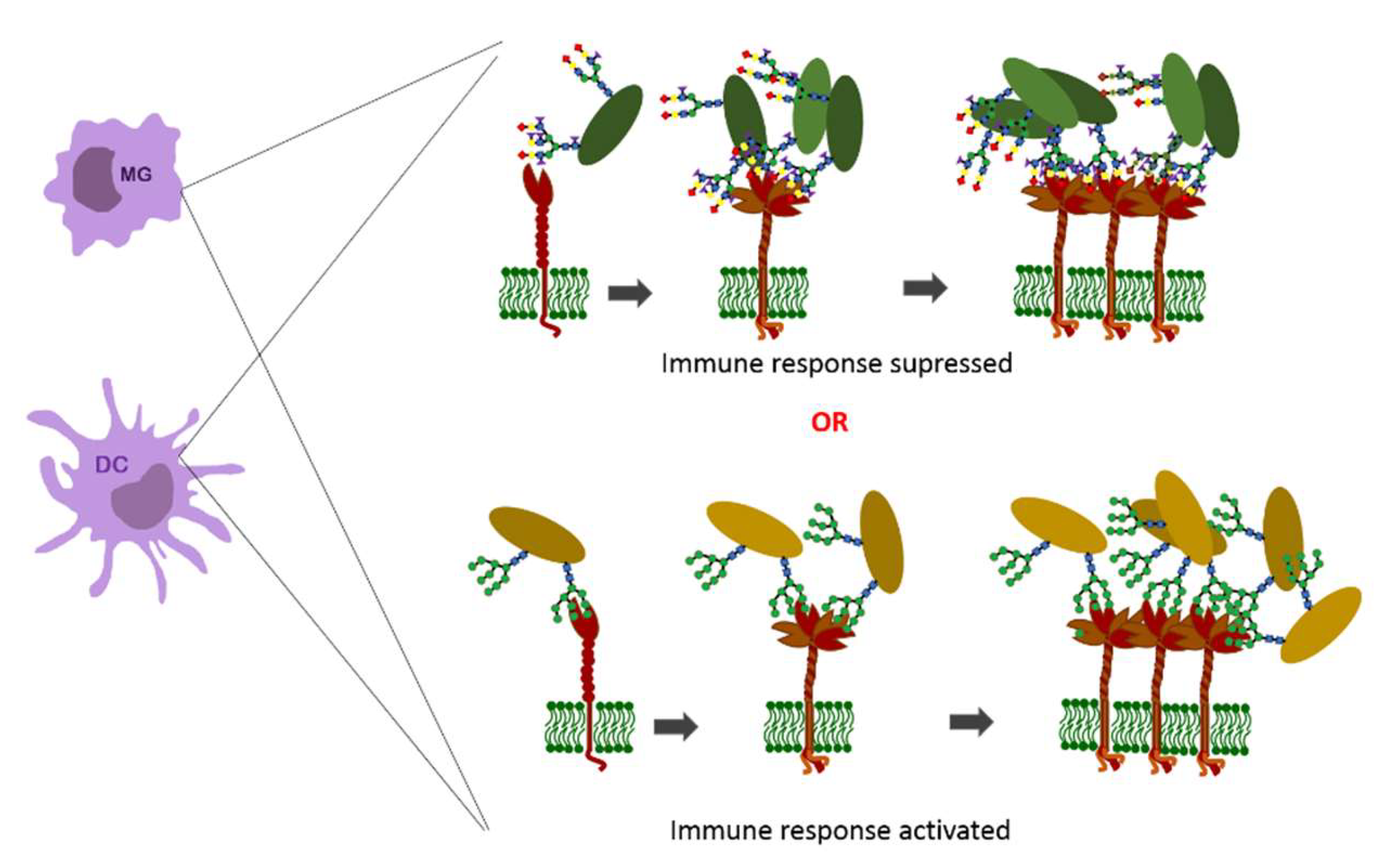 Ijerph 19 10489 g003