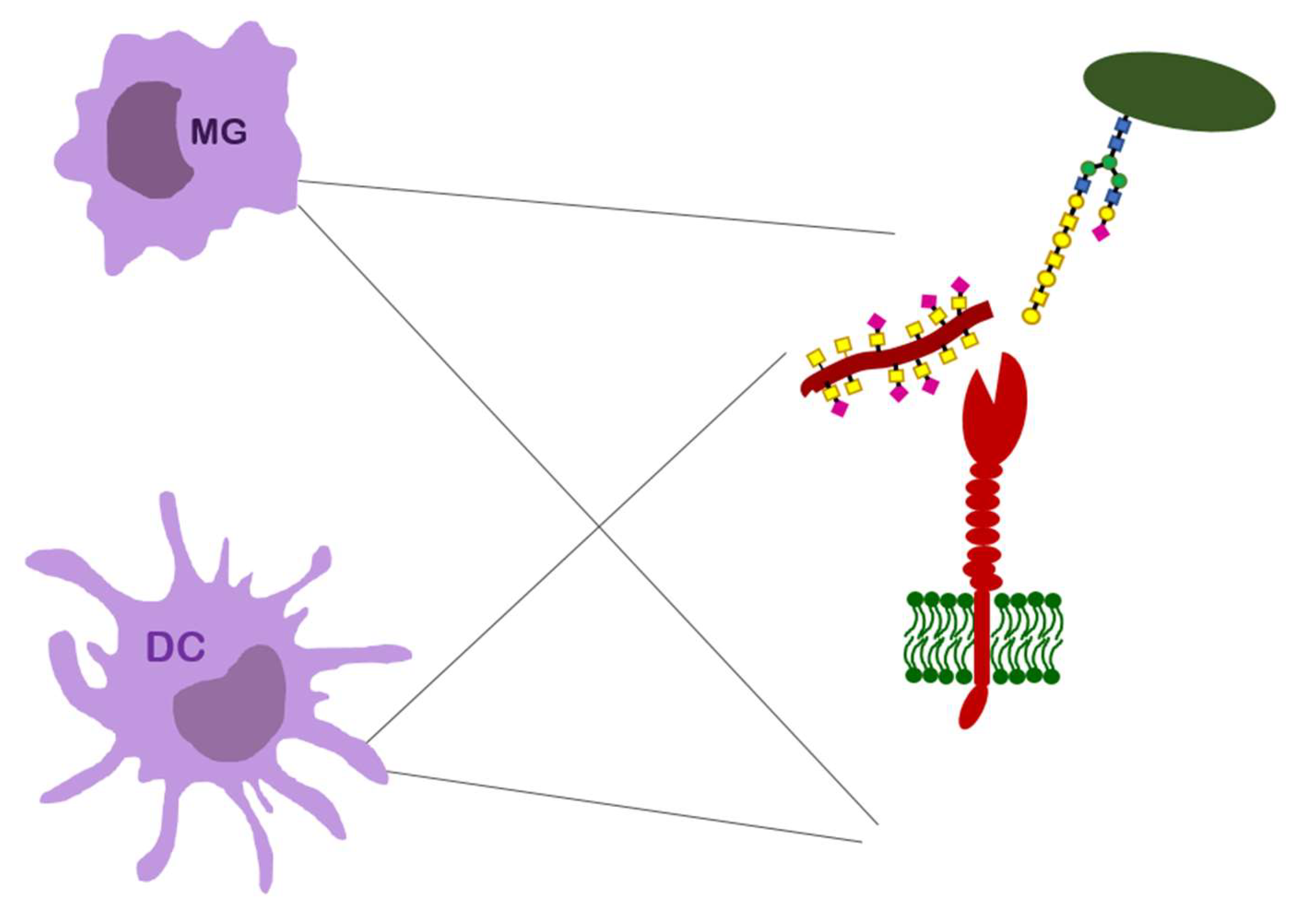 Ijerph 19 10489 g004