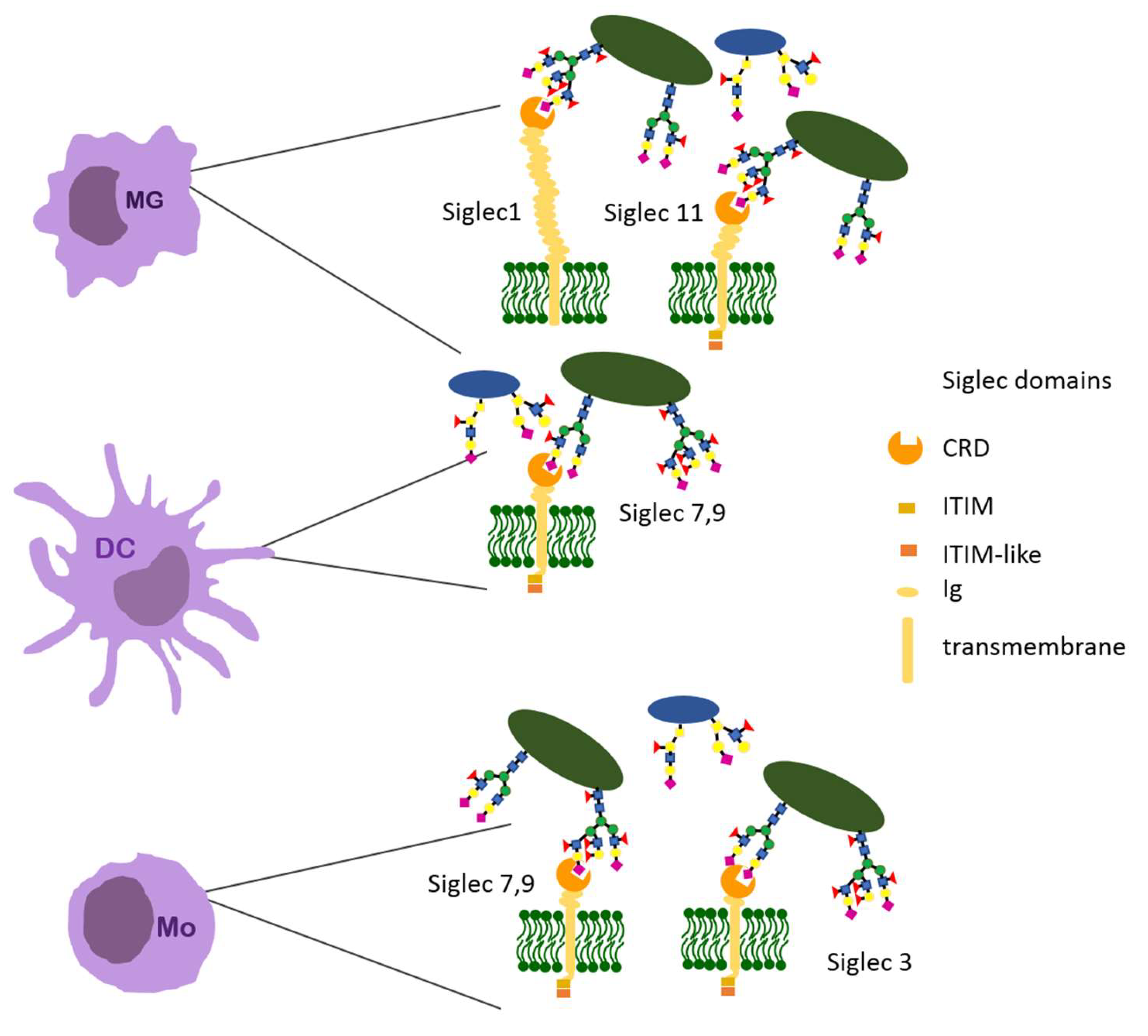 Ijerph 19 10489 g006