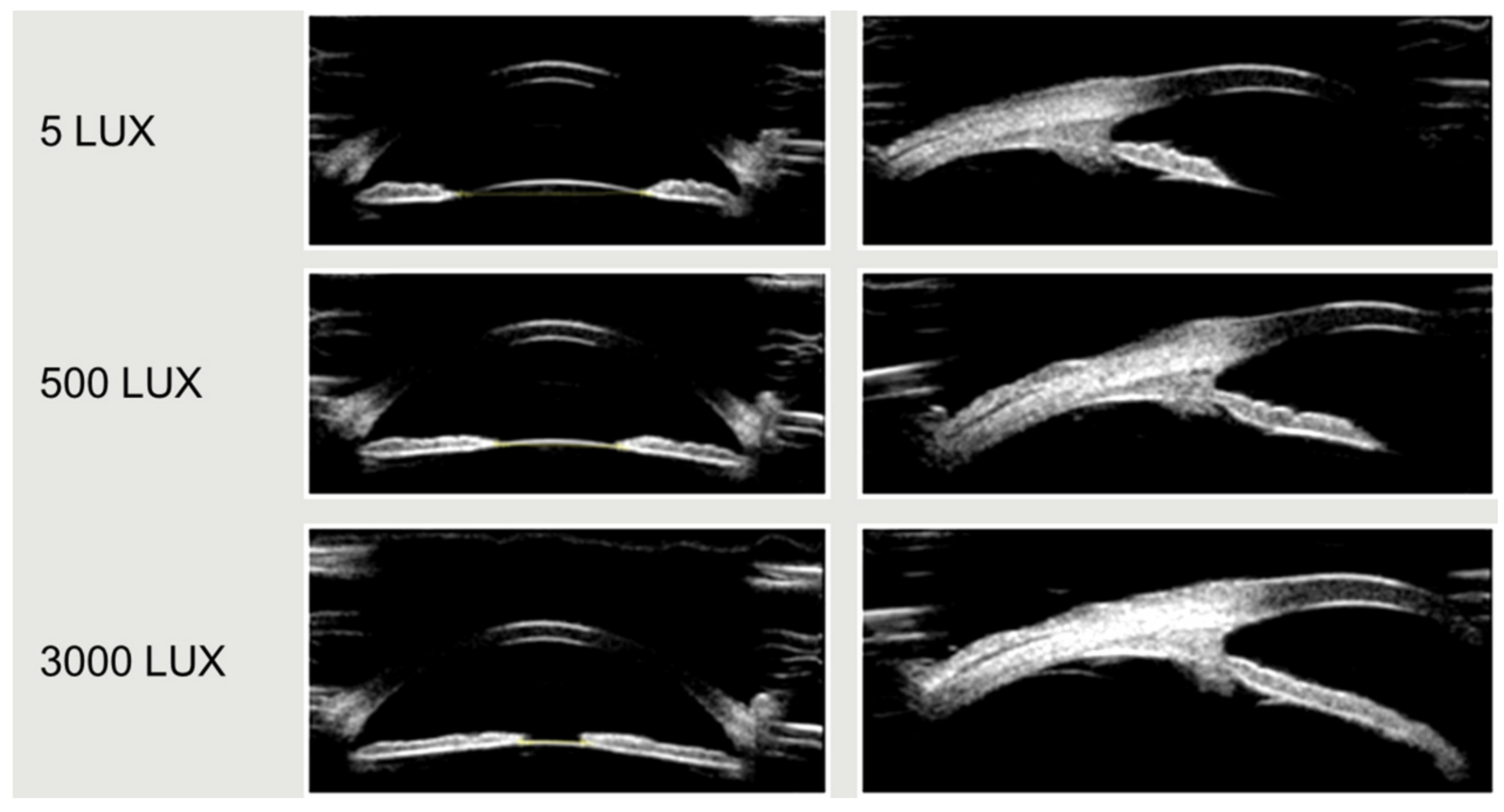 Ijerph 19 10490 g004