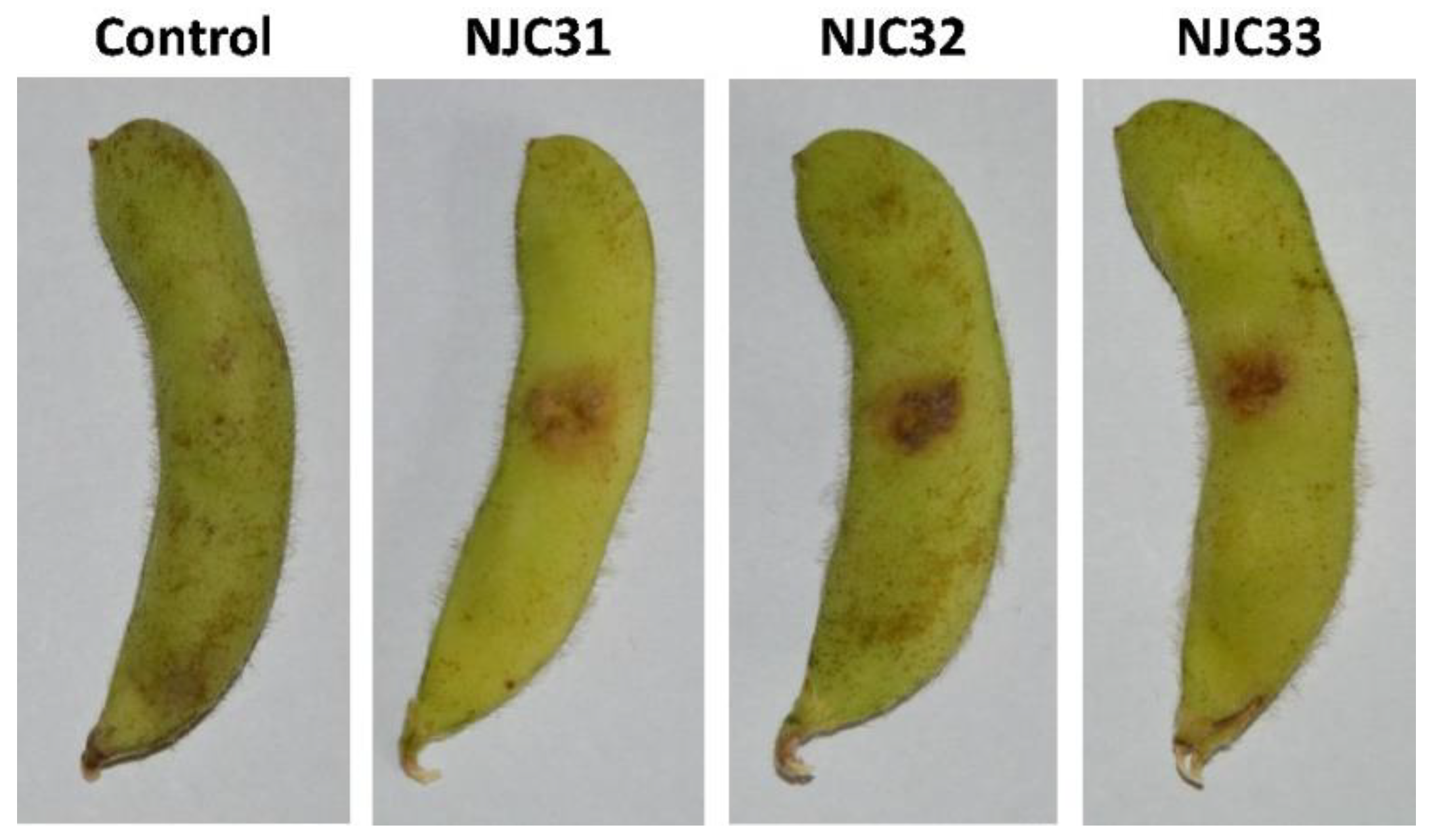 Ijerph 19 10531 g004