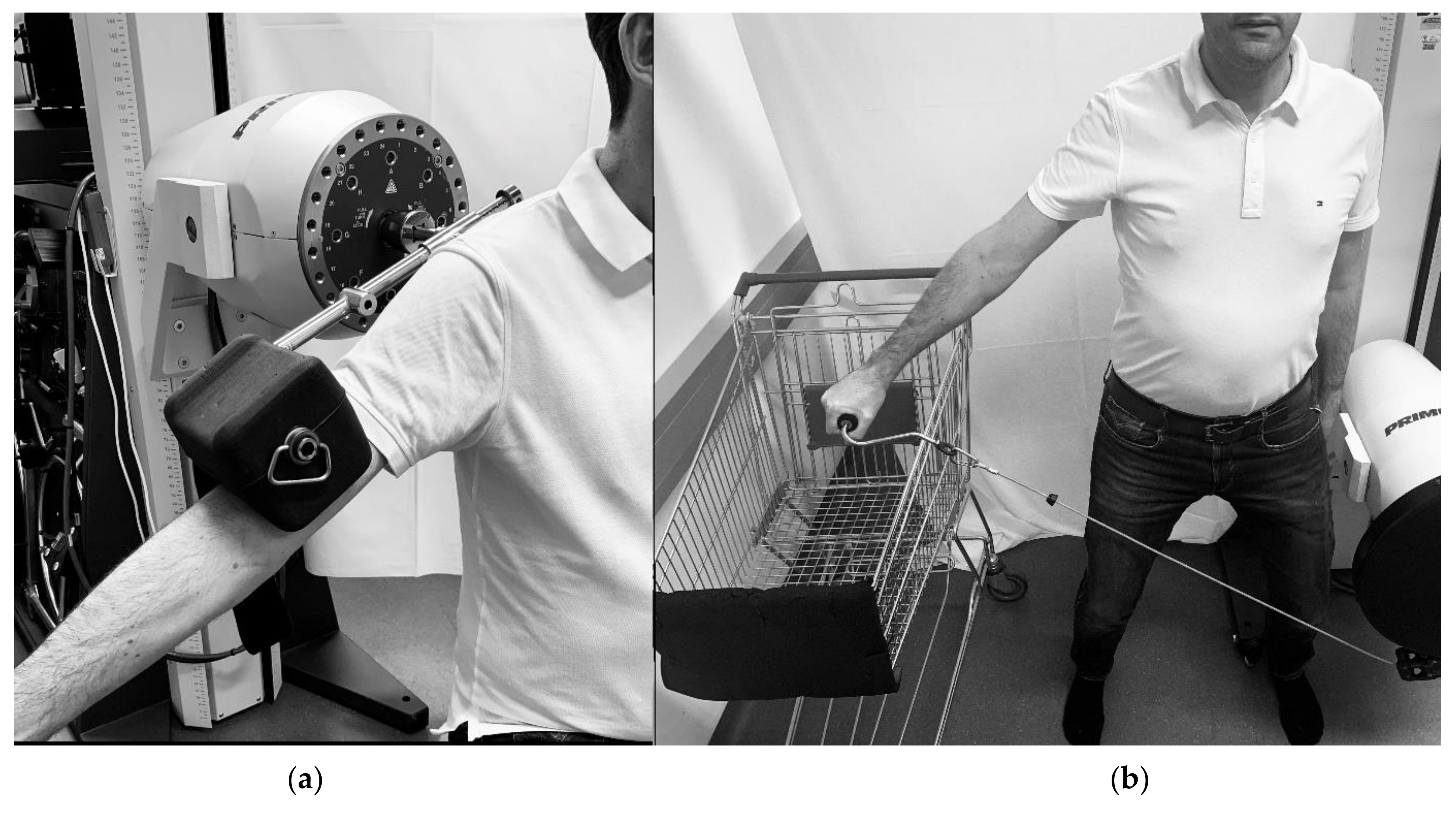 Ijerph 19 10623 g001